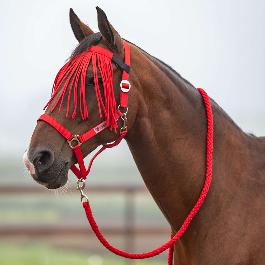 Velder Horsewear Essentials Head Collar Set Basic Summer High Risk Red