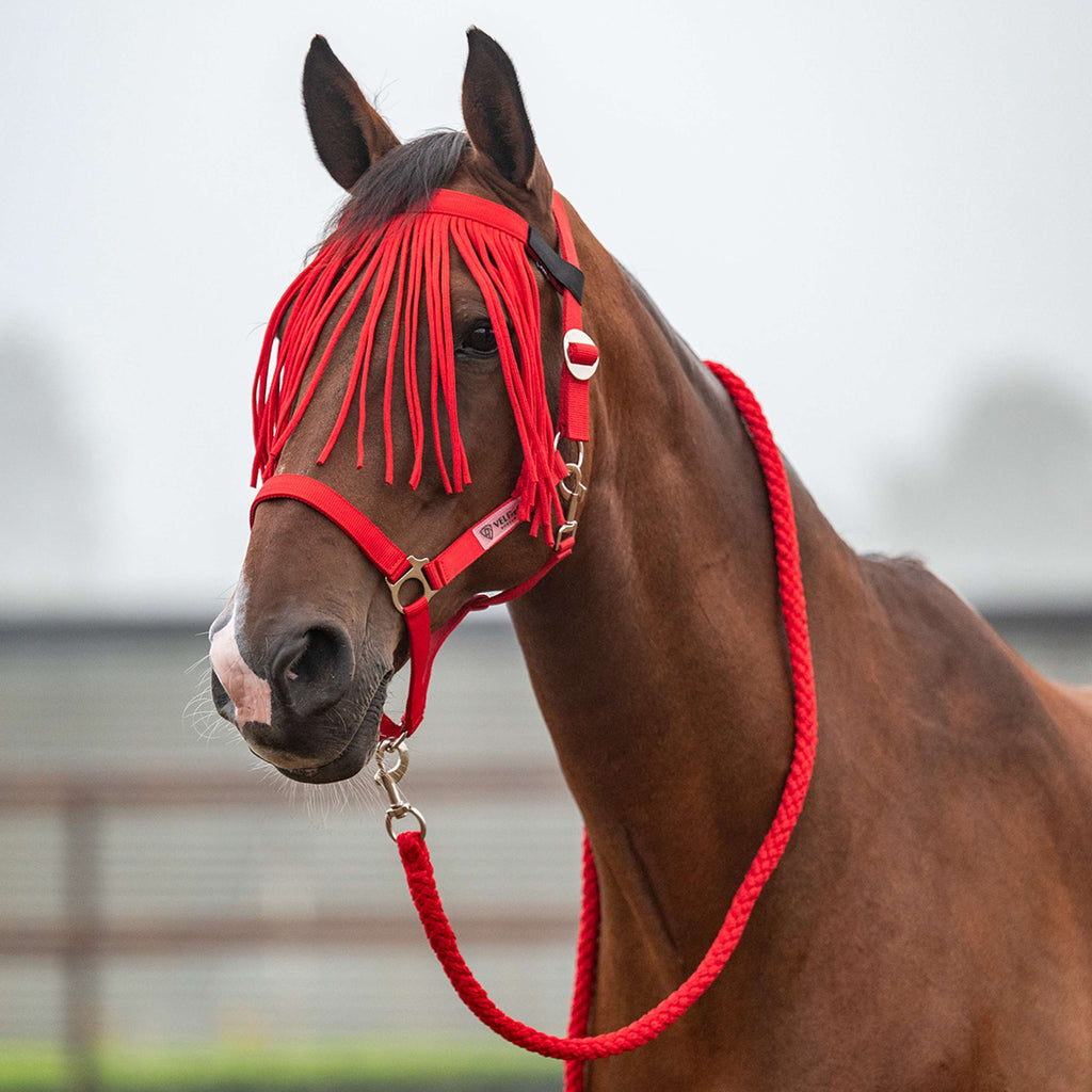 Velder Horsewear Essentials Head Collar Set Basic Summer High Risk Red