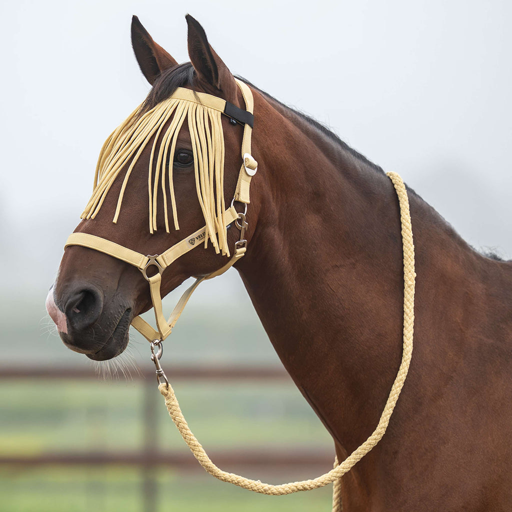 Velder Horsewear Essentials Head Collar Set Basic Summer Healing Yellow