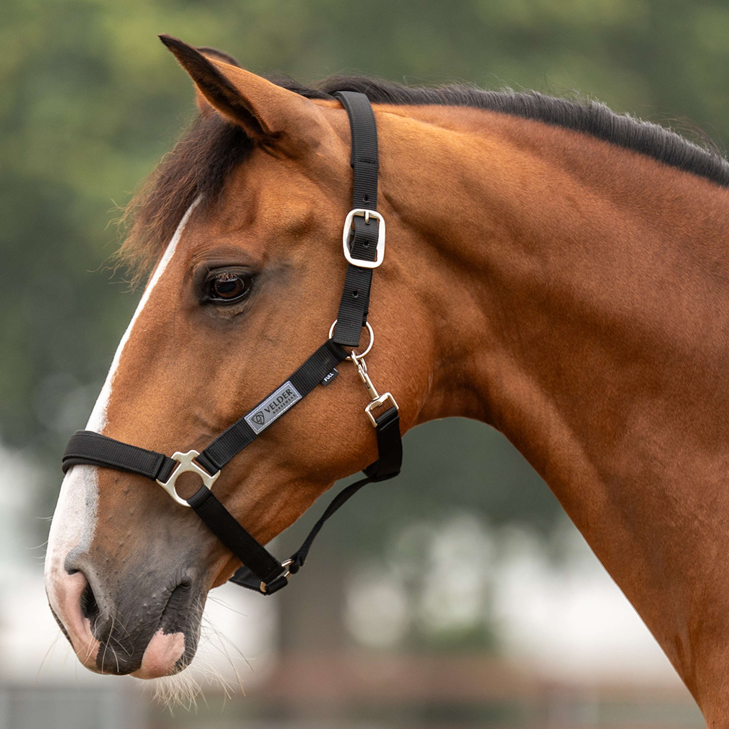 Velder Horsewear Essentials Halter Basic Comfort Black