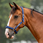 Velder Horsewear Essentials Halter Basic Comfort Navy