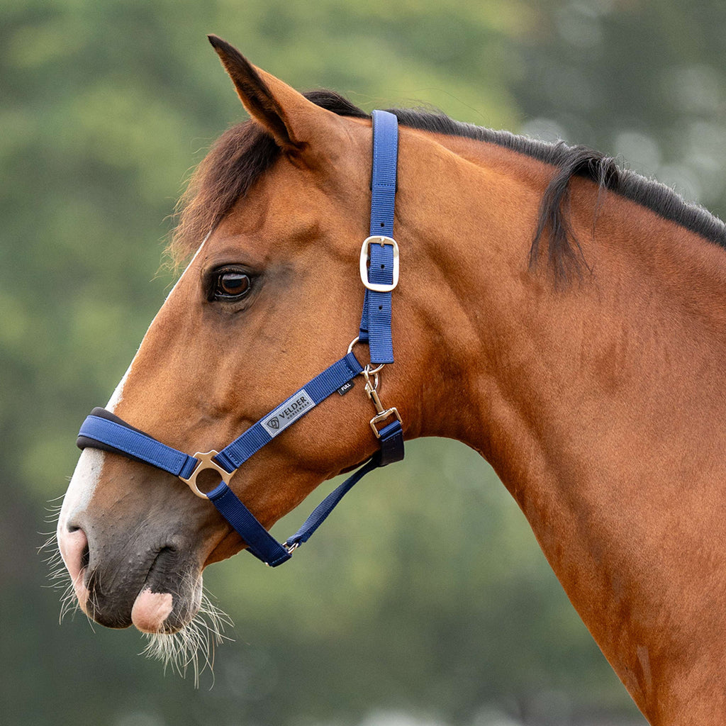 Velder Horsewear Essentials Halter Basic Comfort Navy