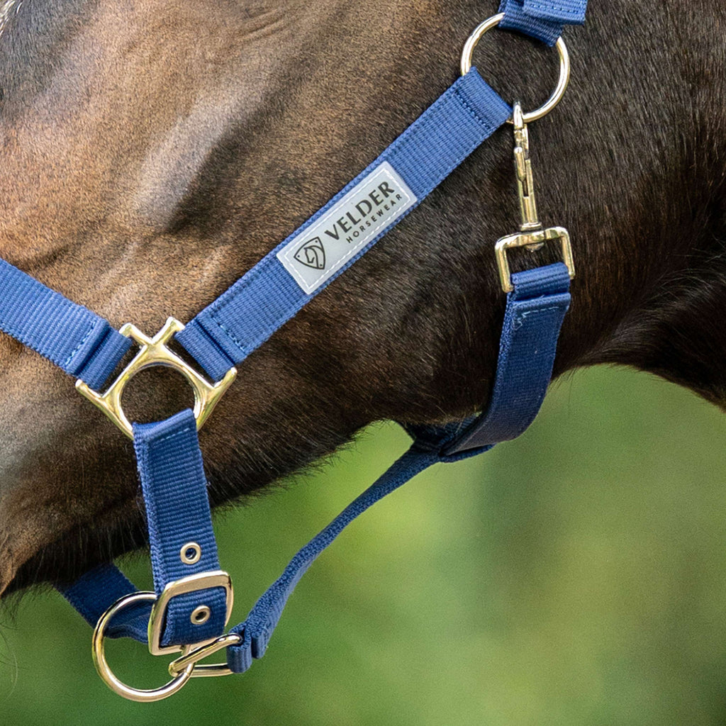 Velder Horsewear Essentials Halter Triple Adjustable Navy