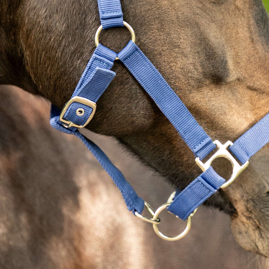 Velder Horsewear Essentials Halter Triple Adjustable Navy