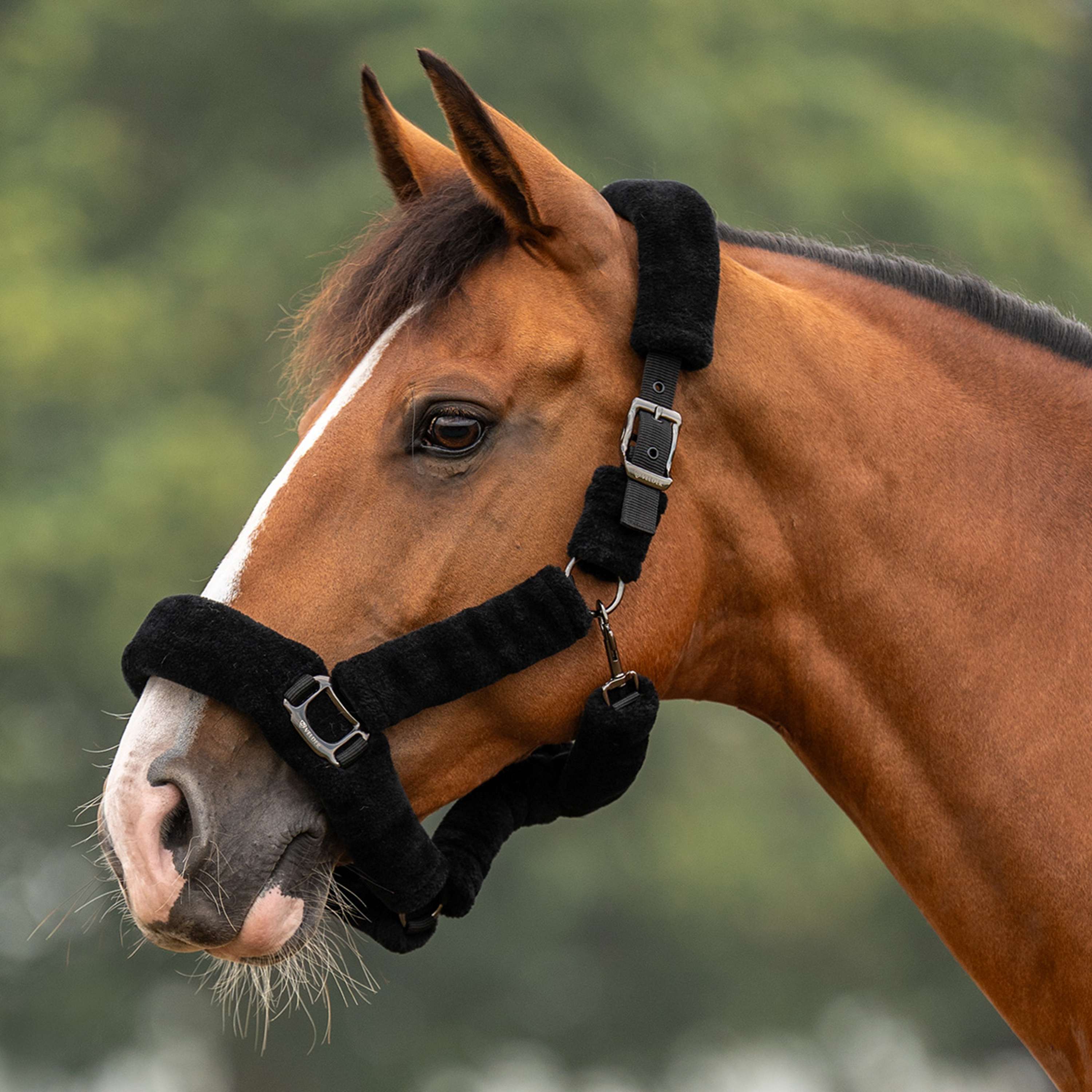 Velder Horsewear Premium Halter Comfort Fur Black