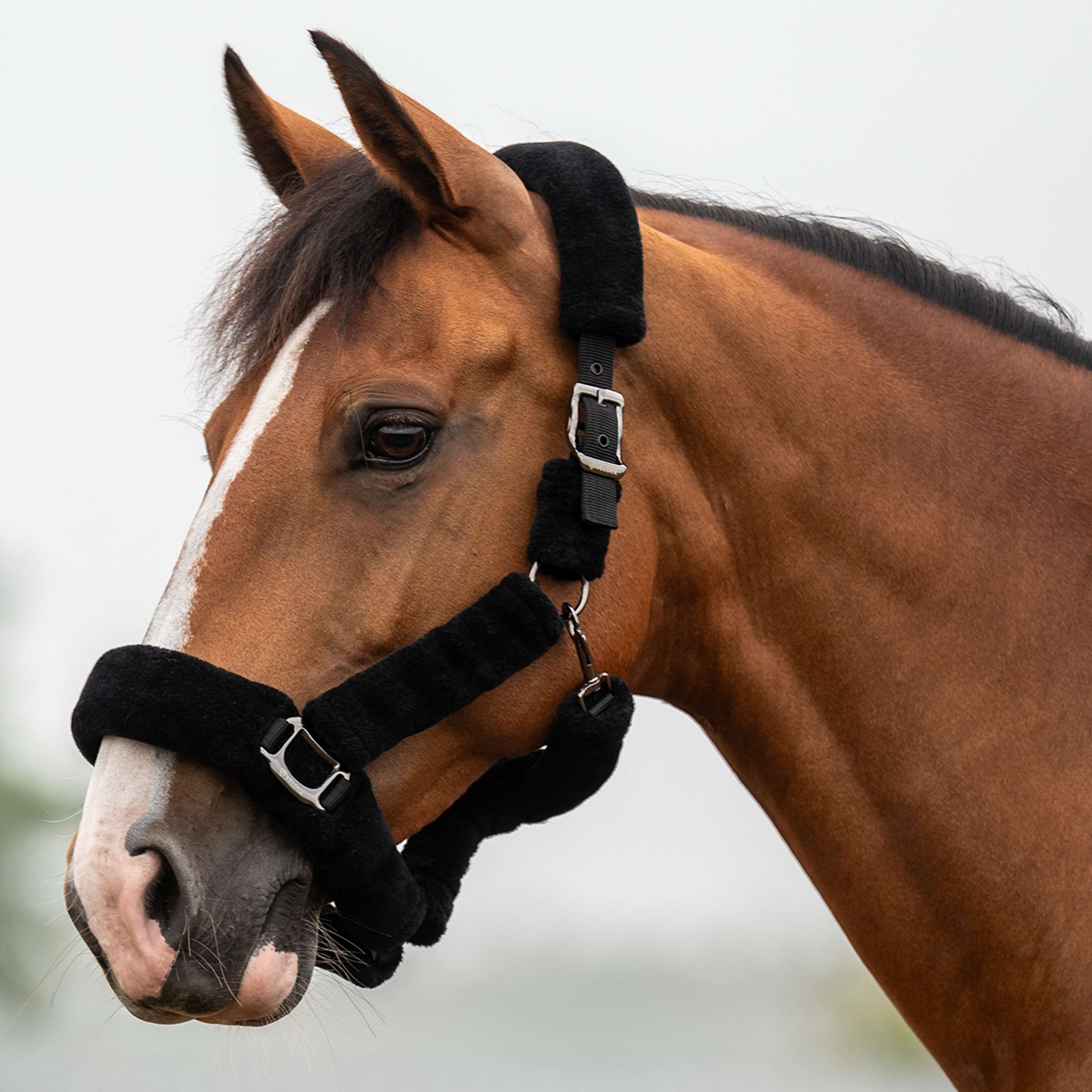 Velder Horsewear Premium Halter Comfort Fur Black