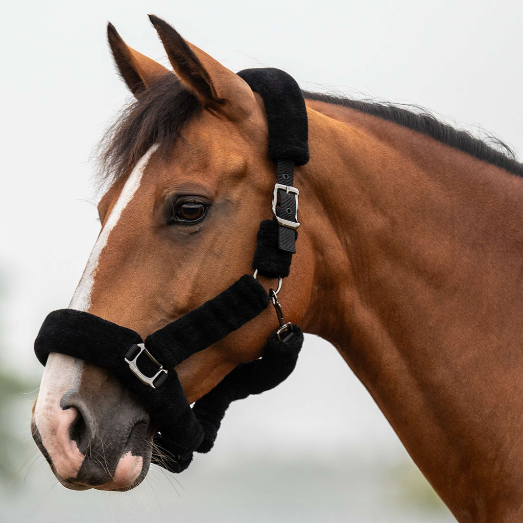 Velder Horsewear Premium Halter Comfort Fur Black