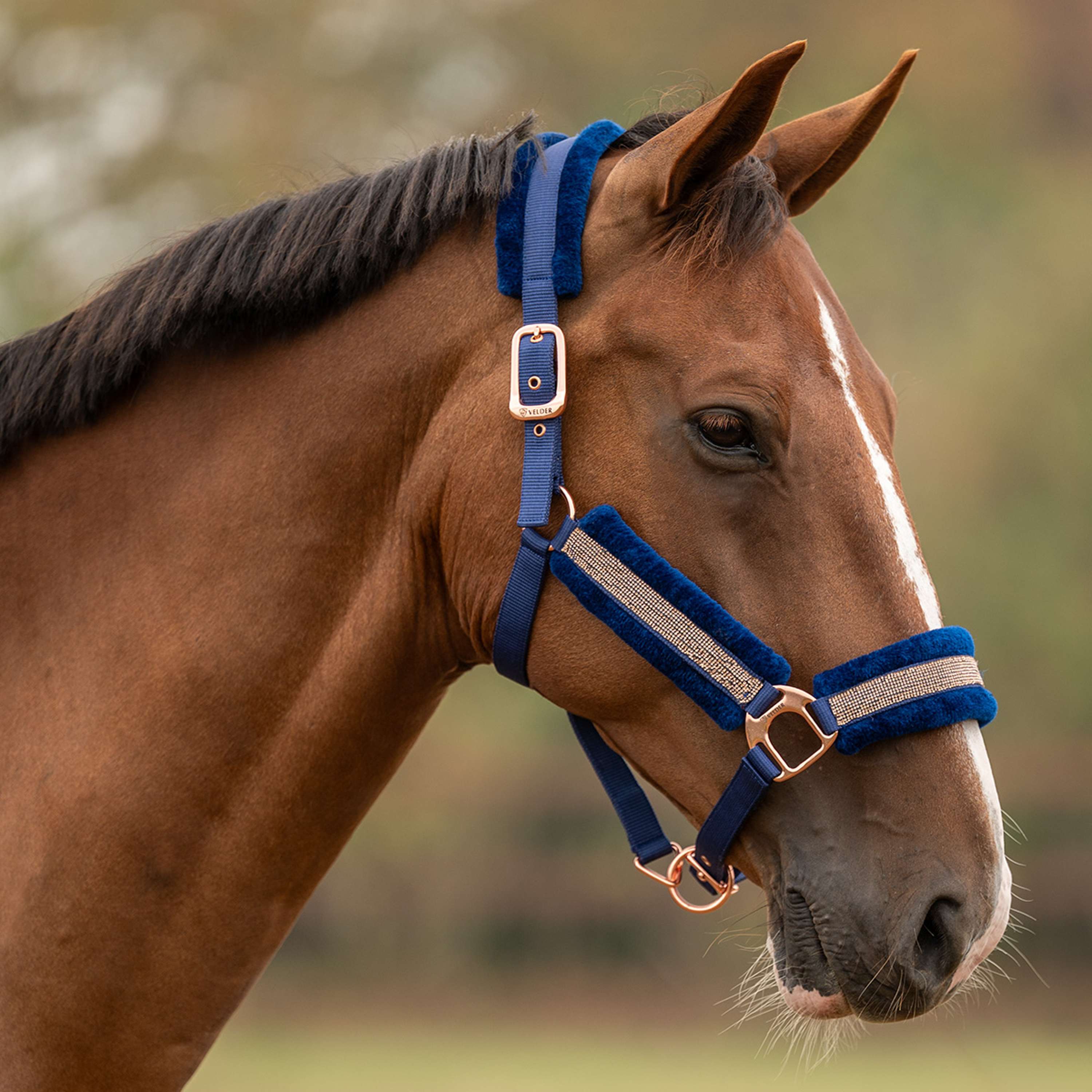 Velder Horsewear Essentials Halter Soft Sparkle Navy