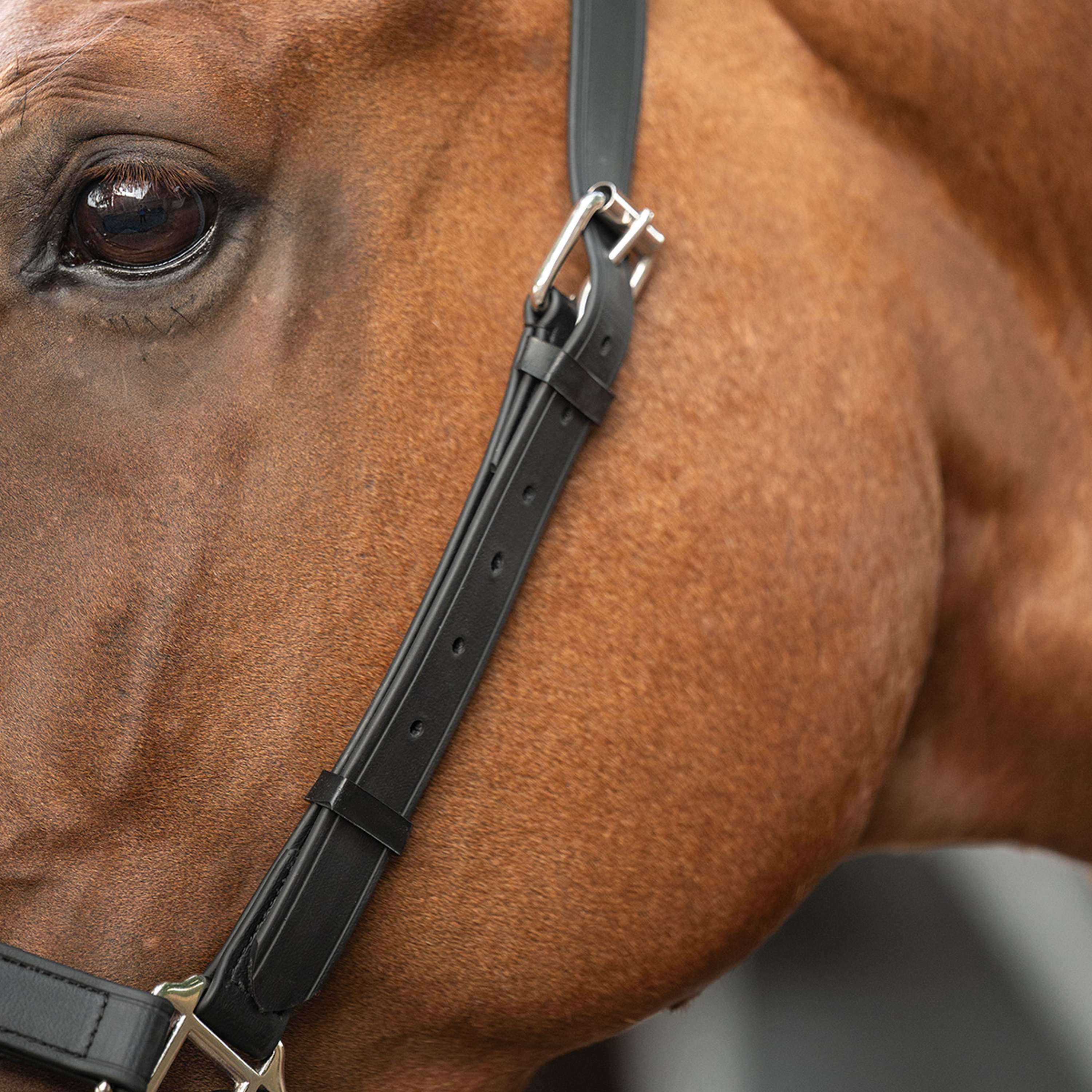 Velder Horsewear Premium Halter WashPro Black