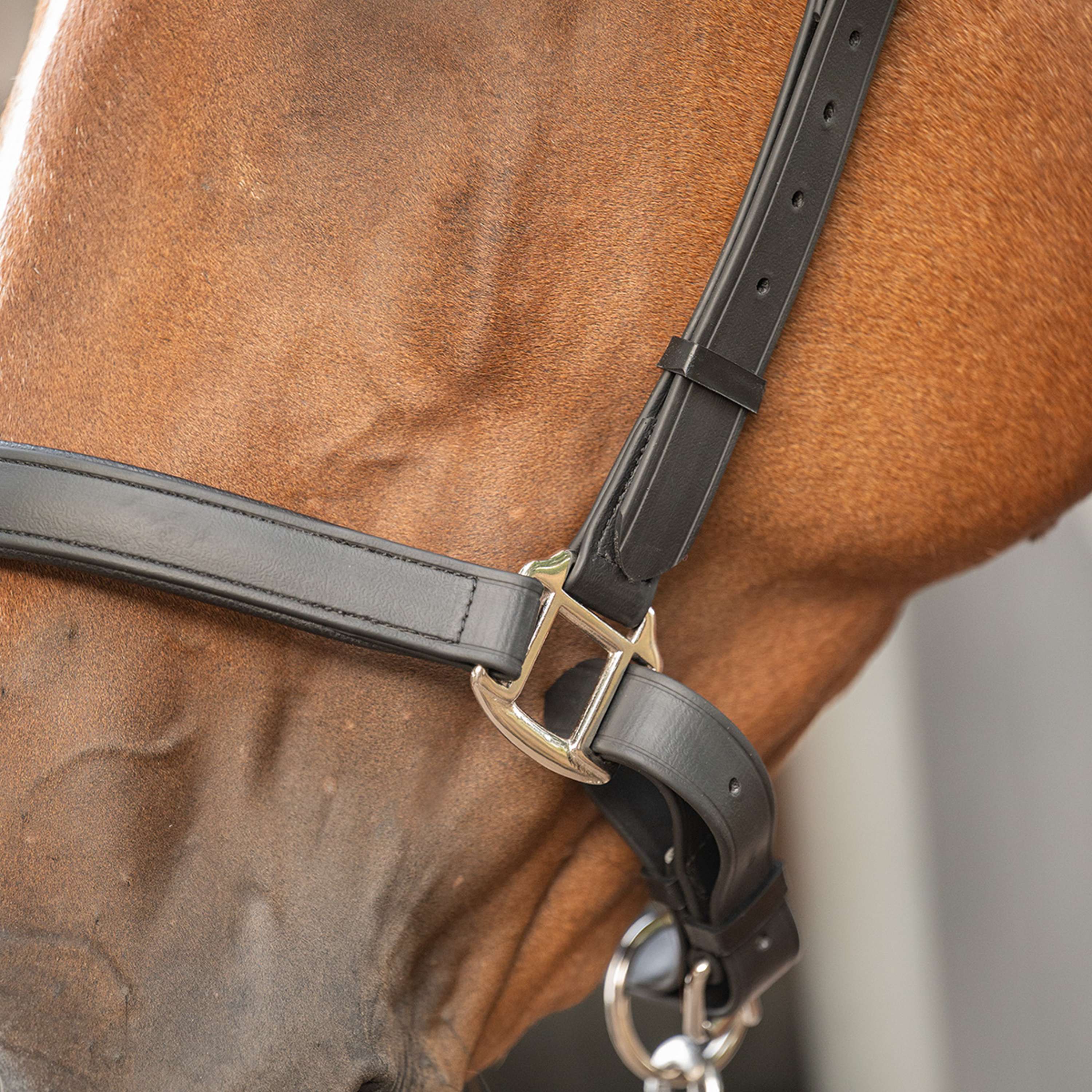 Velder Horsewear Premium Halter WashPro Black