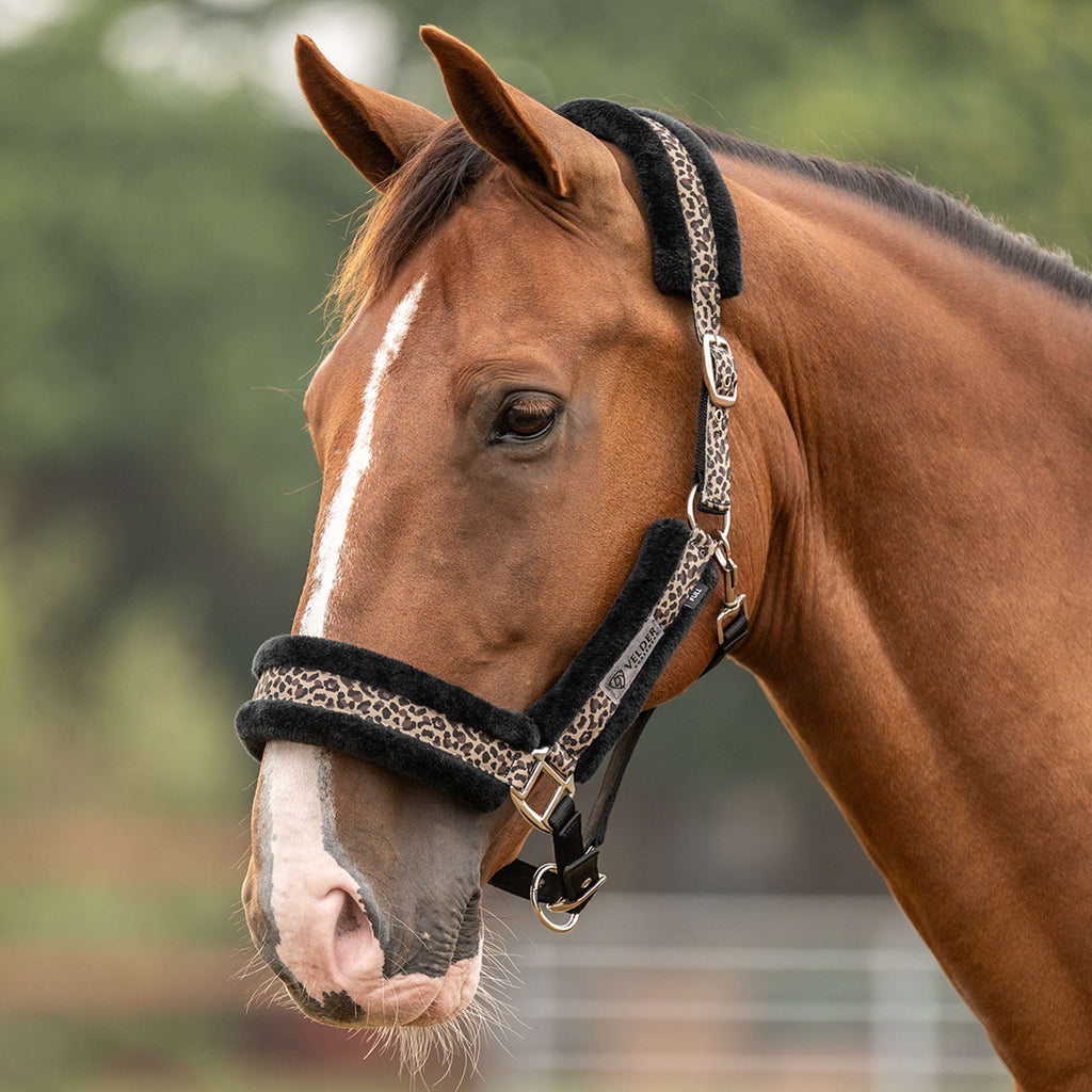 Velder Horsewear Essentials Halter Savanna Soft Earth Leopard