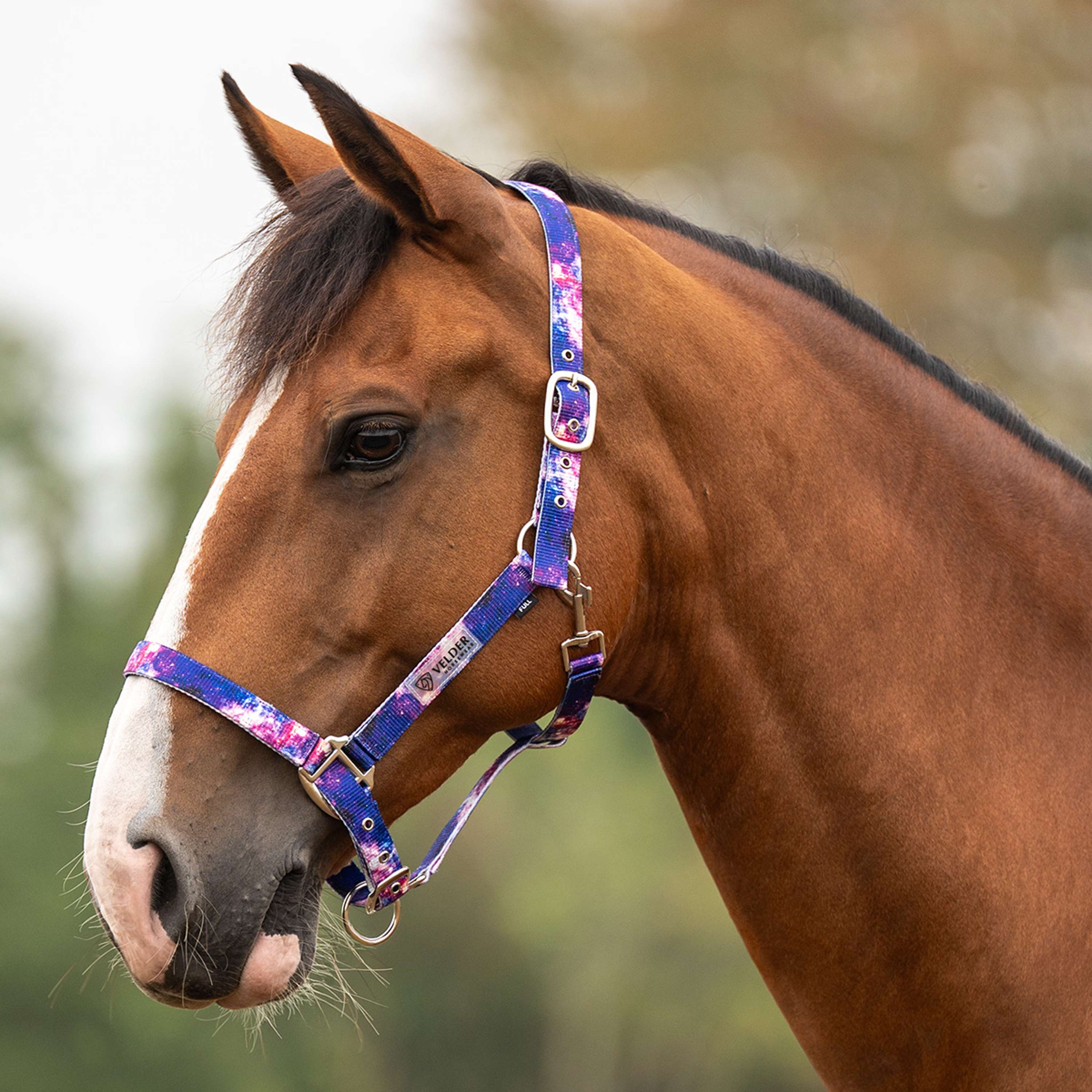 Velder Horsewear Essentials Head Collar Galaxy Blue/Pink