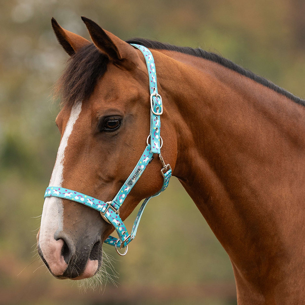 Velder Horsewear Essentials Head Collar Unicorn Blue