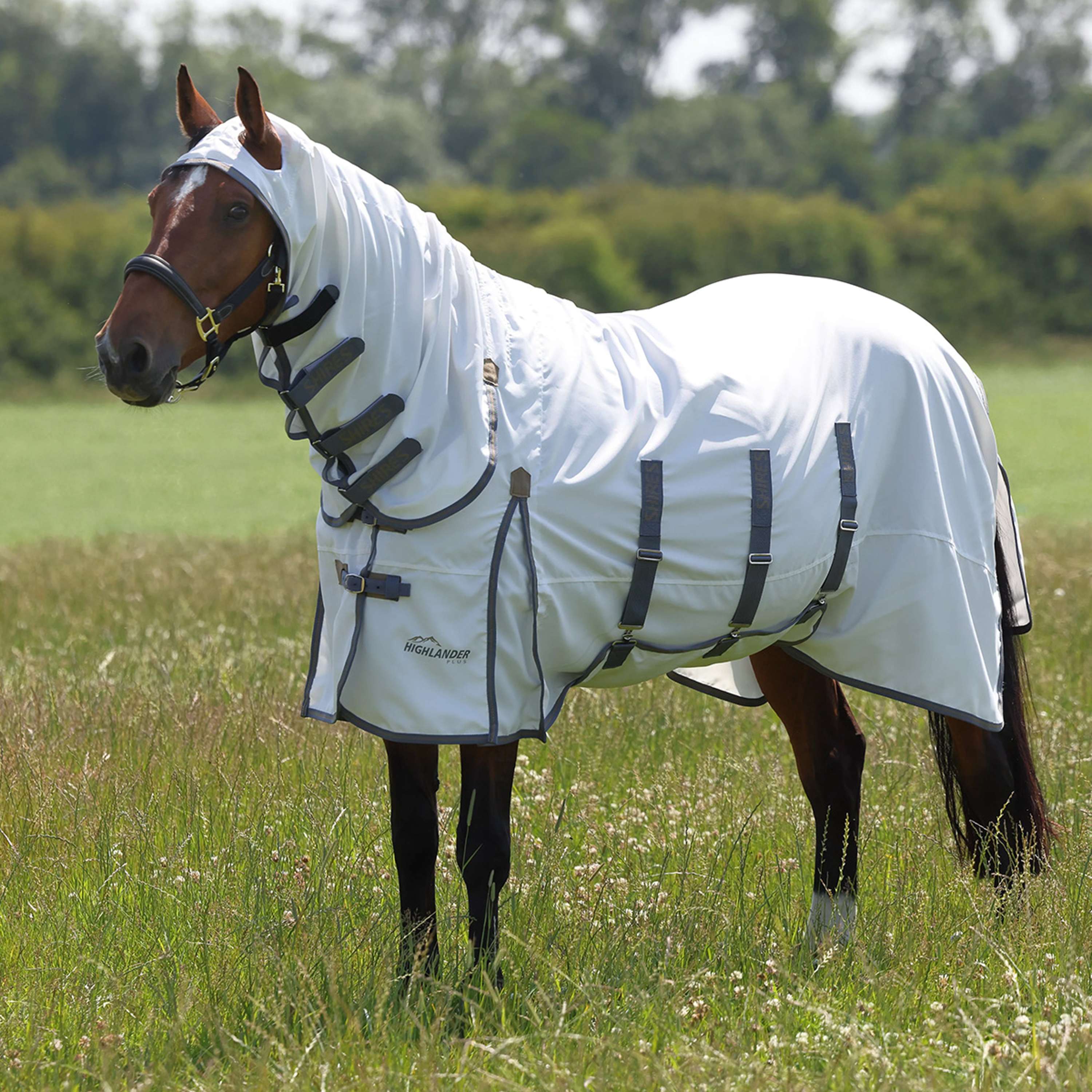 Highlander Plus by Shires Eczema Rug Sweet-Itch Combo White/Airforce