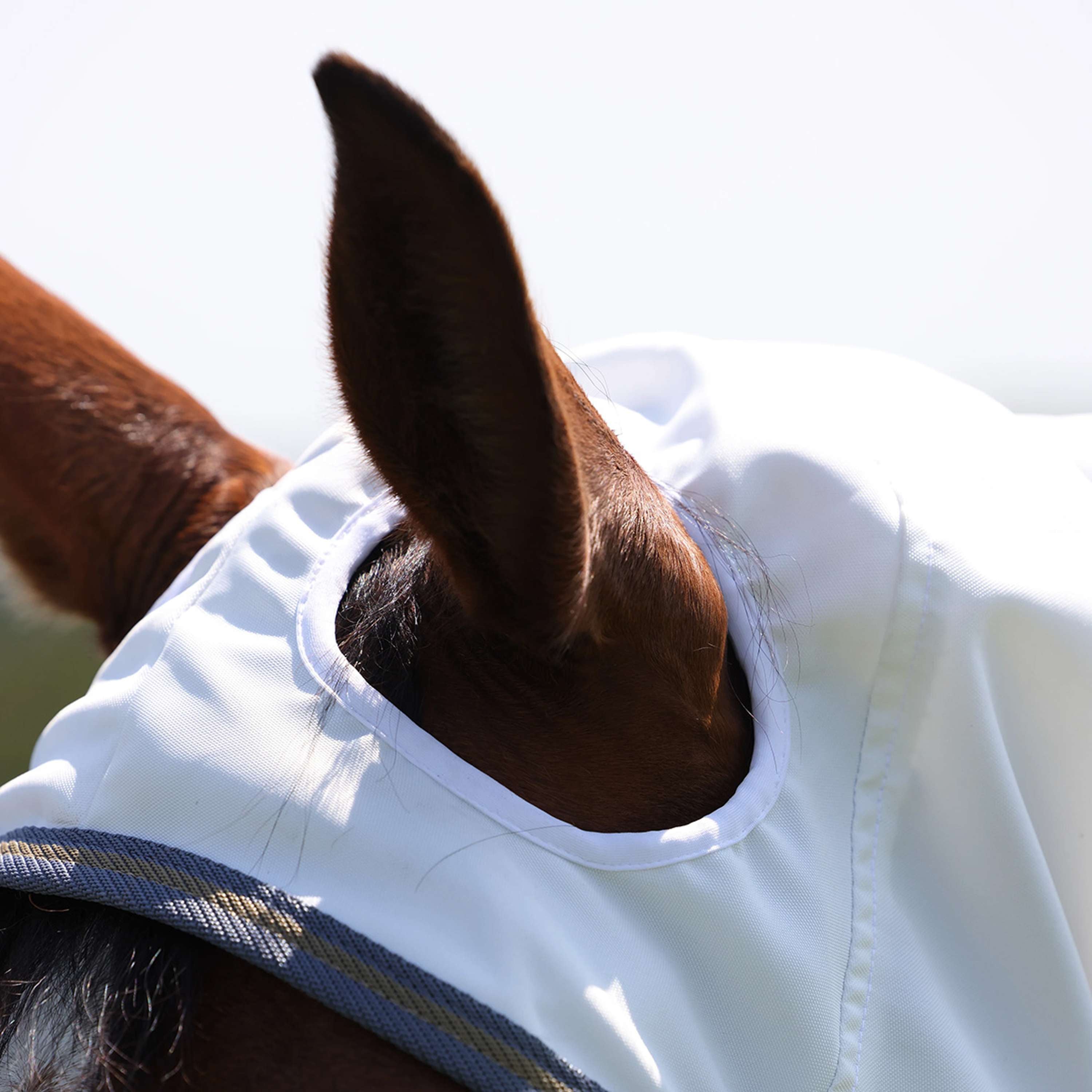 Highlander Plus by Shires Eczema Rug Sweet-Itch Combo White/Airforce