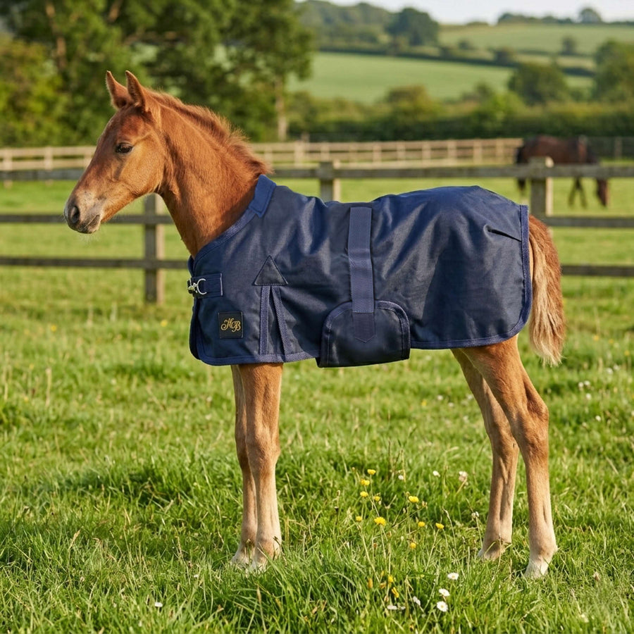 HB Foal Rug Ukki Navy