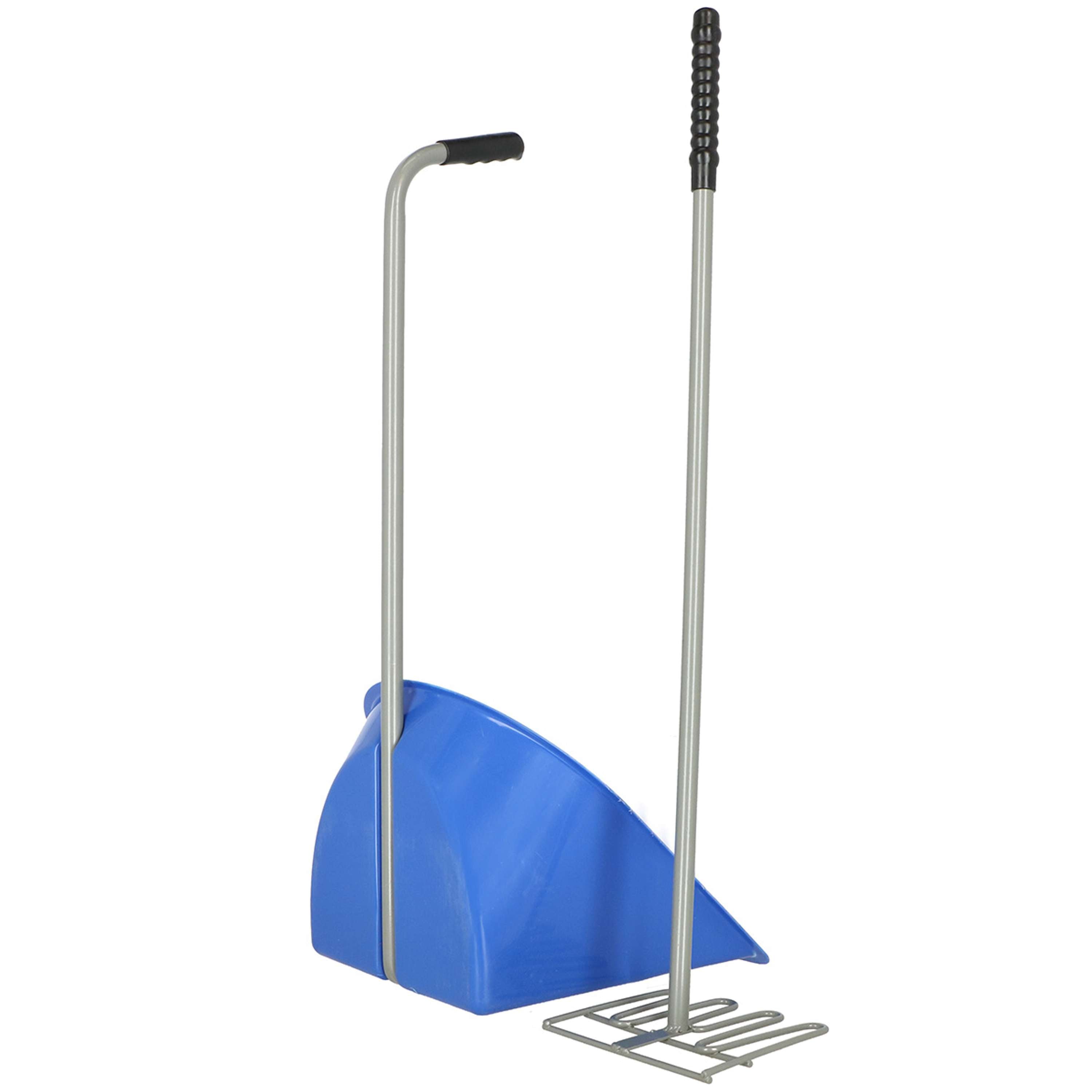 Agradi Horse Mistboy Royal Blue