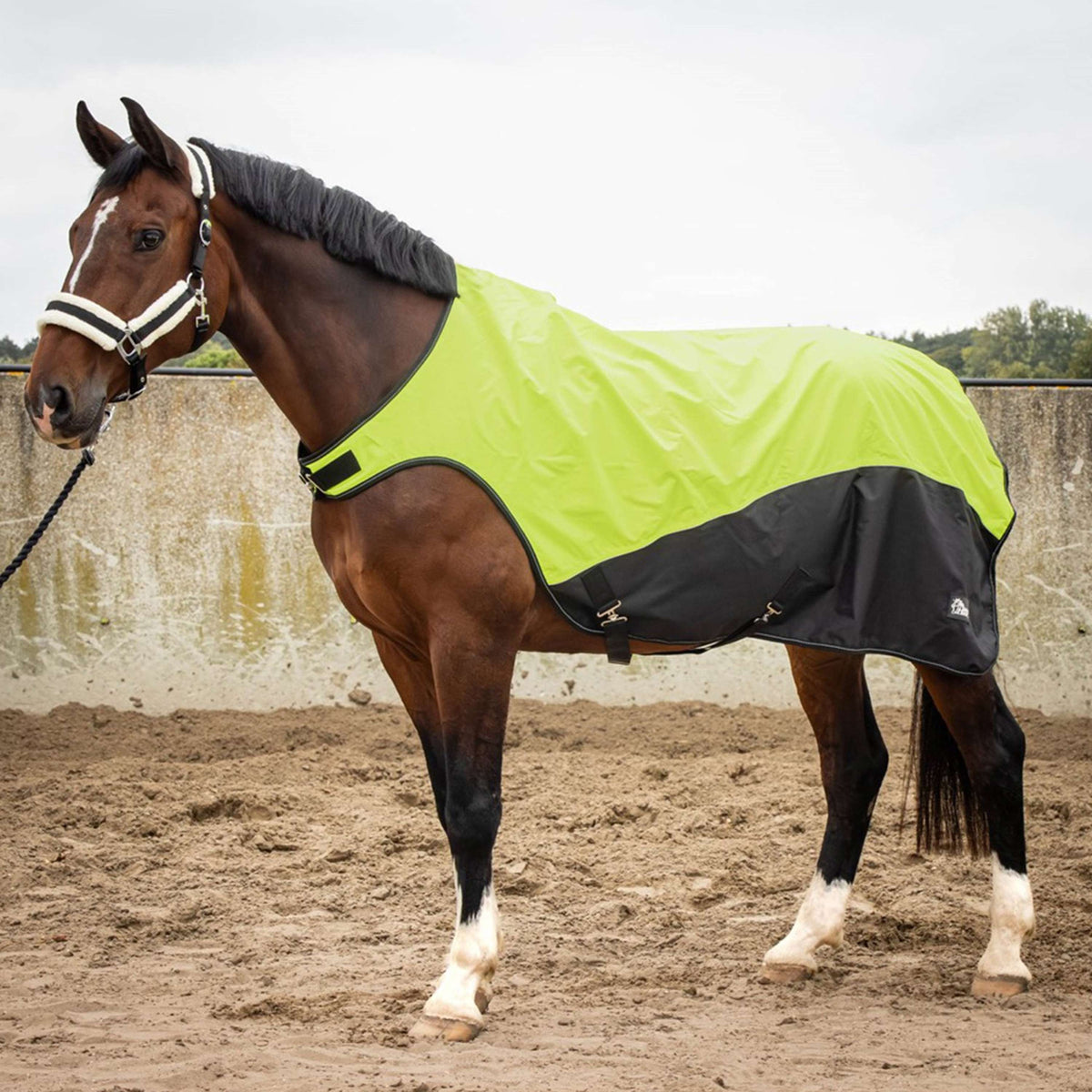 Harry's Horse Step Mill Rug Reflective Waterproof Neon Yellow