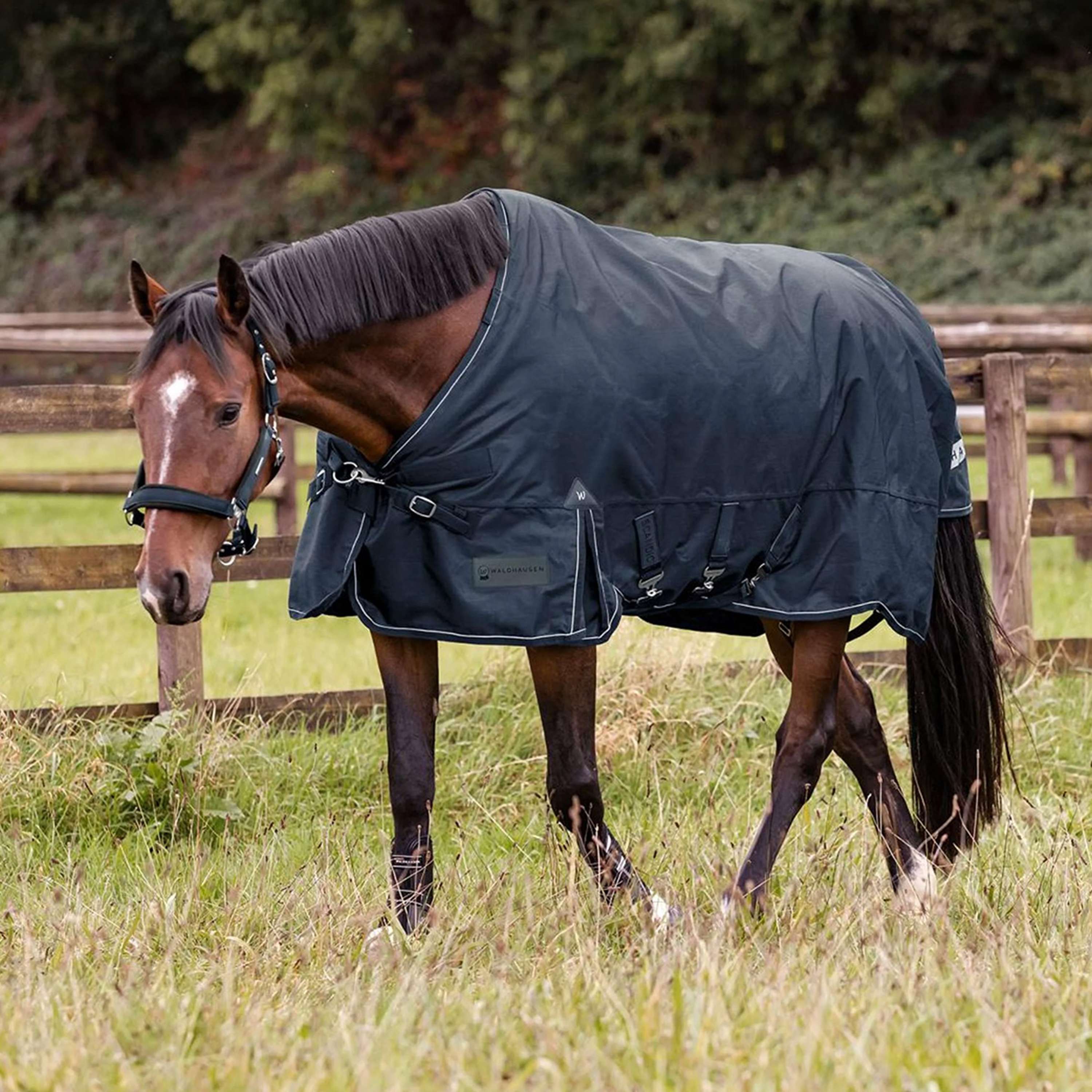 Waldhausen Outdoor Rug Scandic Multi-Layer 100/250g Nightblue