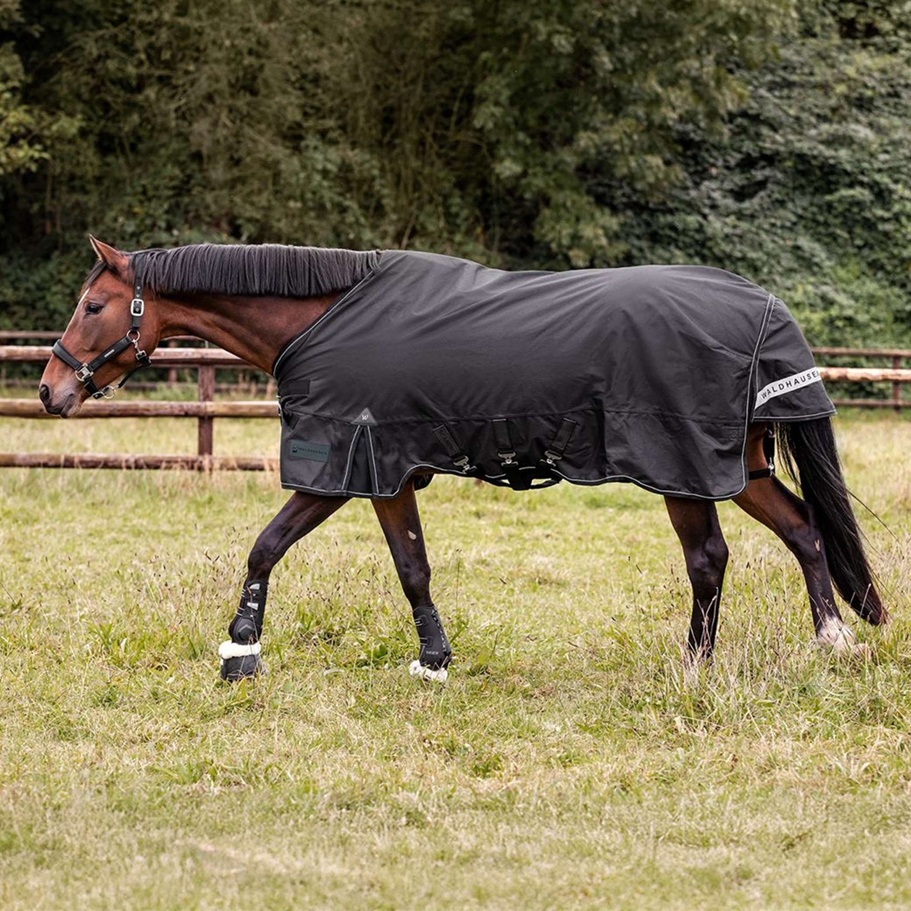 Waldhausen Outdoor Rug Scandic Multi-Layer 100/250g Black