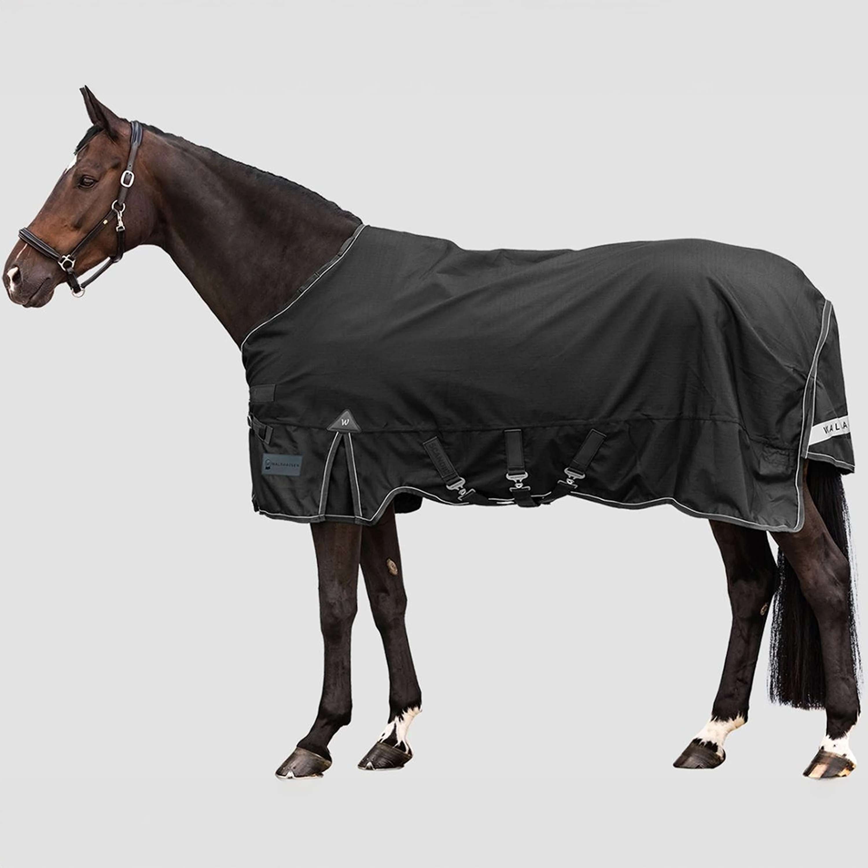 Waldhausen Outdoor Rug Scandic Multi-Layer 100/250g Black