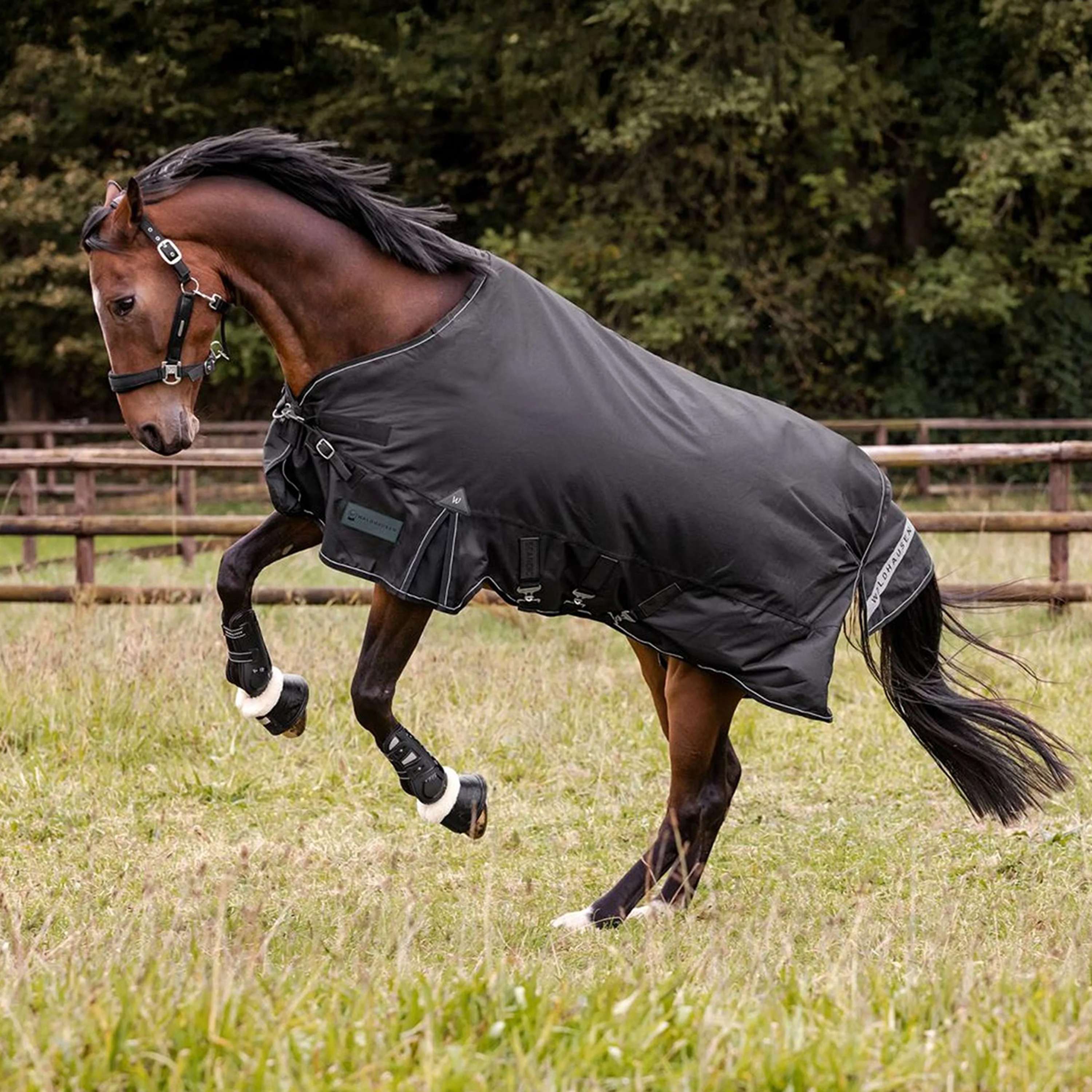 Waldhausen Outdoor Rug Scandic Multi-Layer 100/250g Black