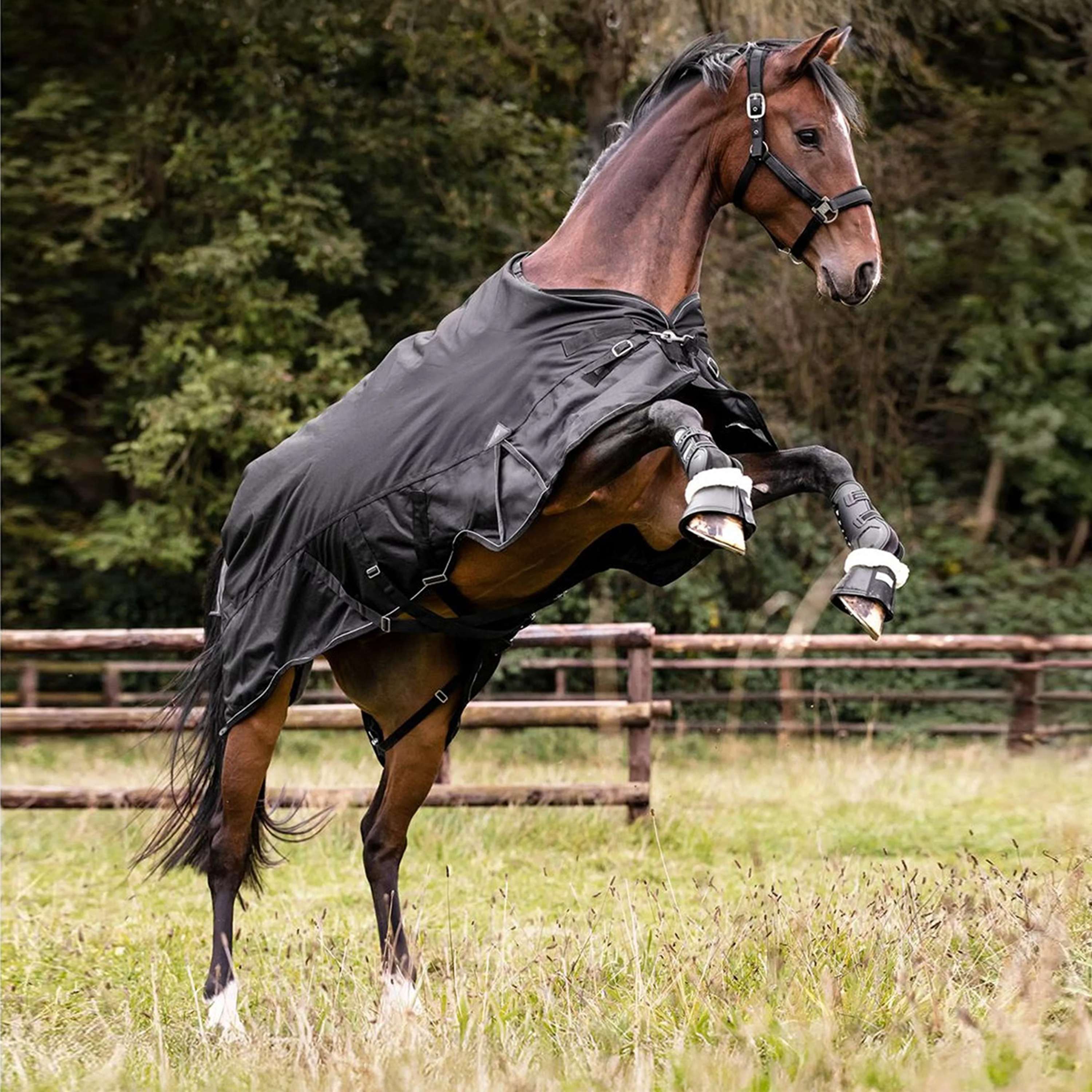 Waldhausen Outdoor Rug Scandic Multi-Layer 100/250g Black