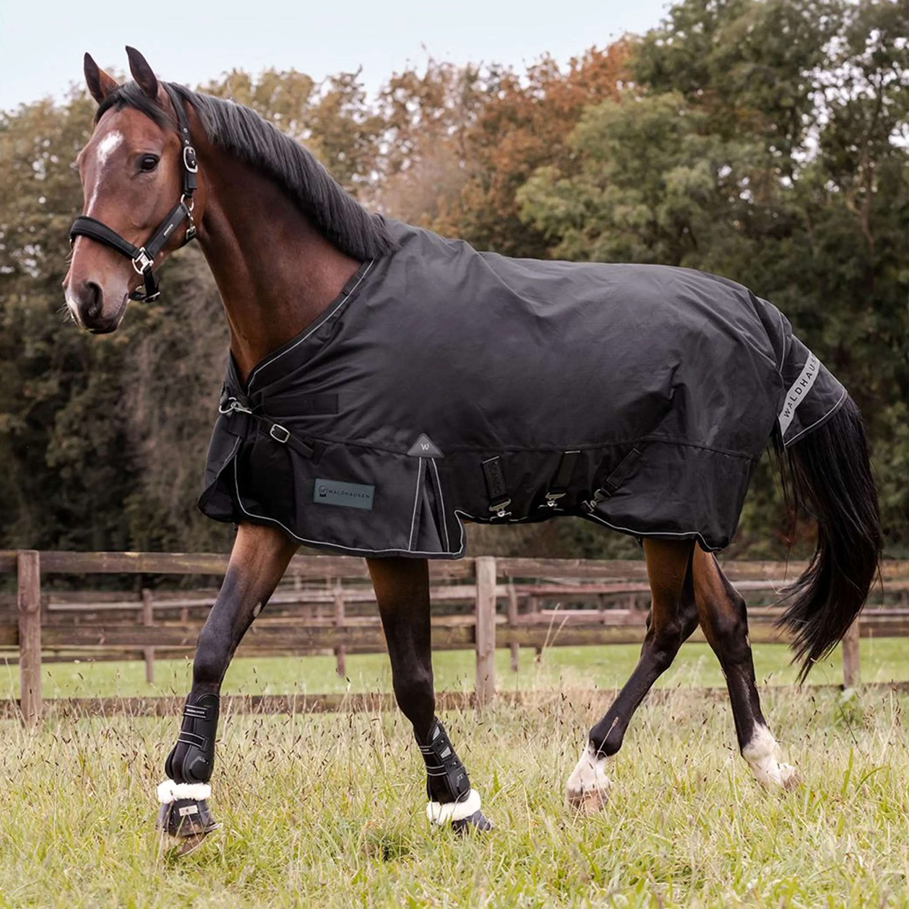 Waldhausen Outdoor Rug Scandic Multi-Layer 50/150g Black