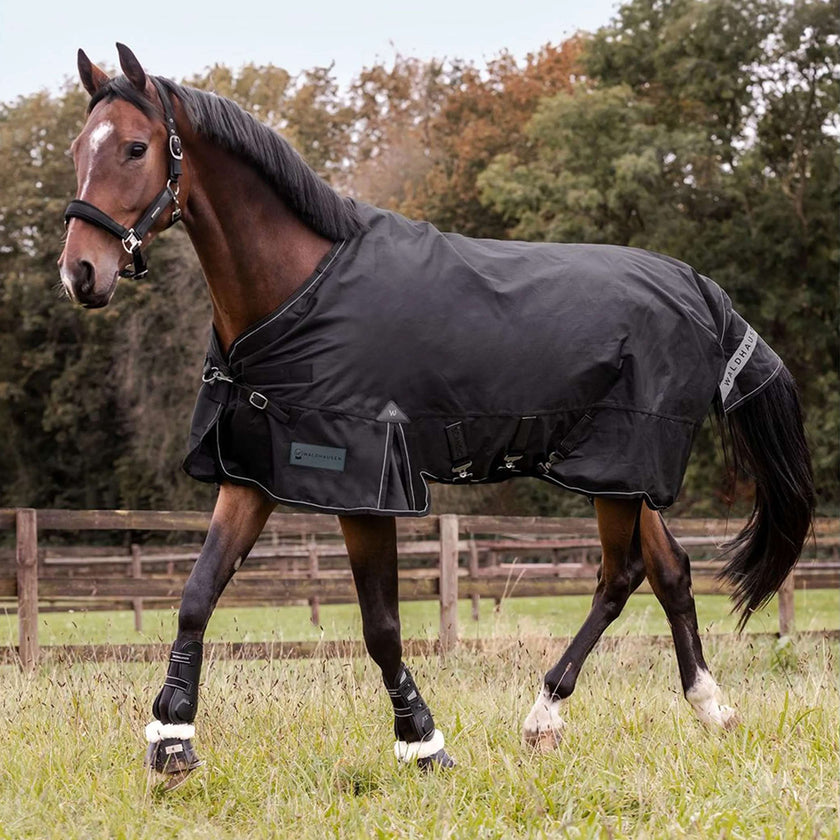 Waldhausen Outdoor Rug Scandic Multi-Layer 50/150g Black Waldhausen Outdoor Rug Scandic Multi-Layer 50/150g Black