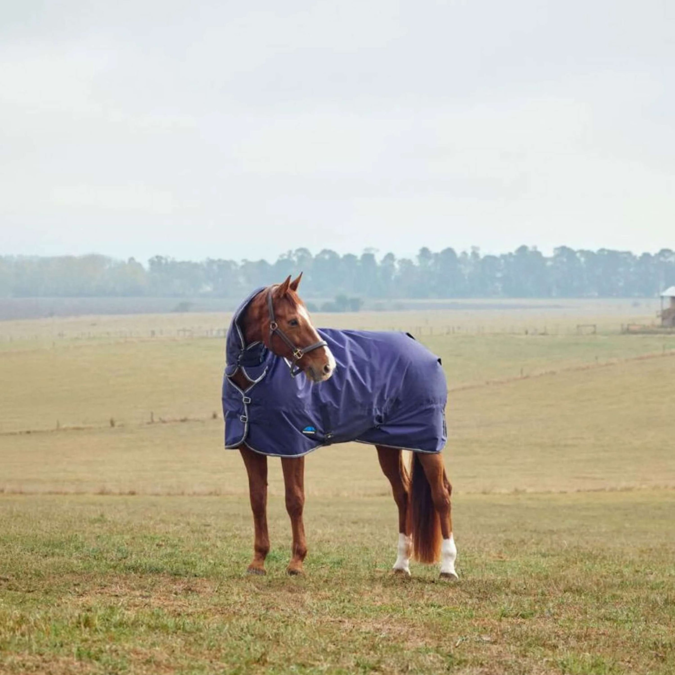 WeatherBeeta ComFiTec Tyro Turnout Combo Neck 360g Navy/Charcoal