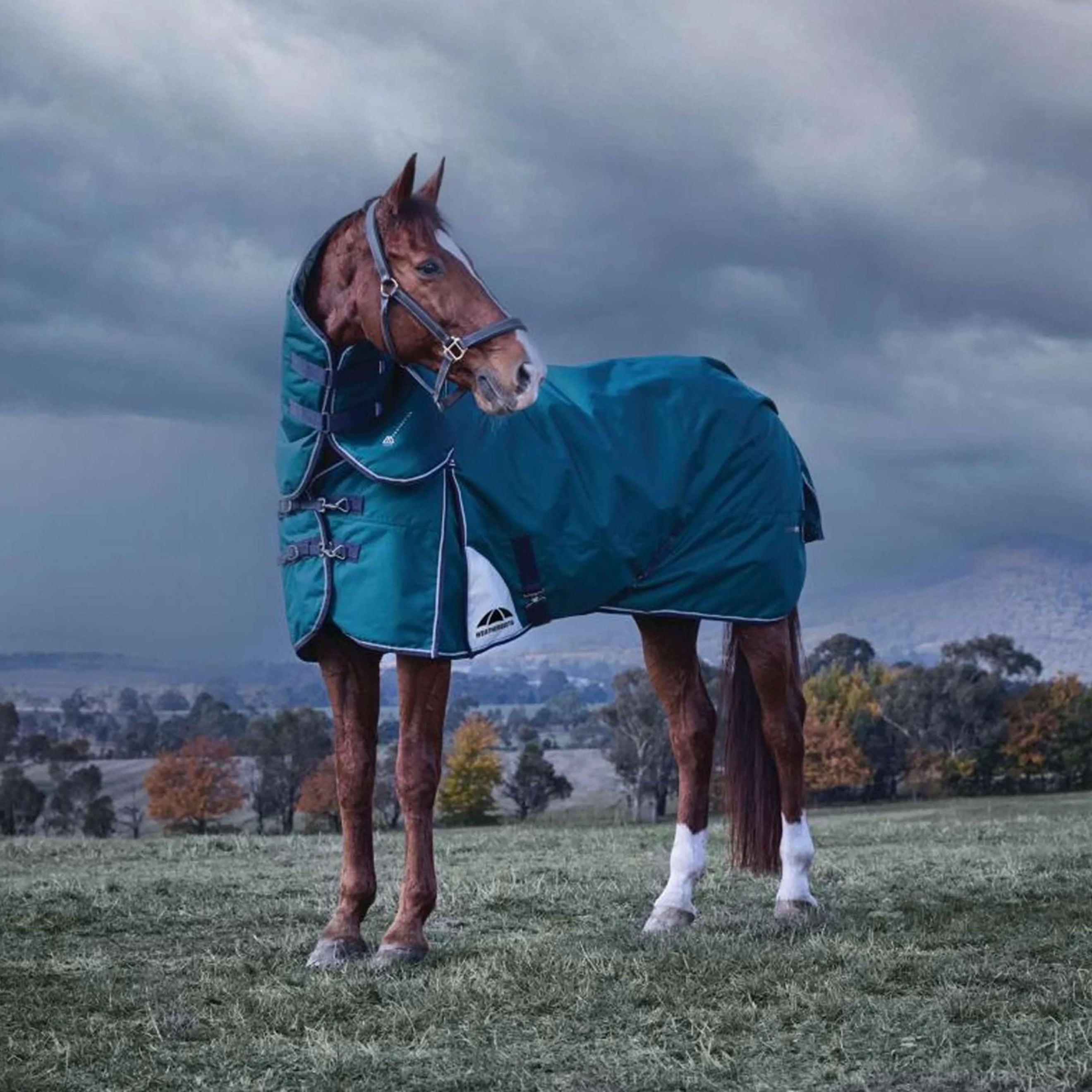 WeatherBeeta ComFiTec Plus Dynamic Turnout Detach-A-Neck 220g Forest Green/Navy