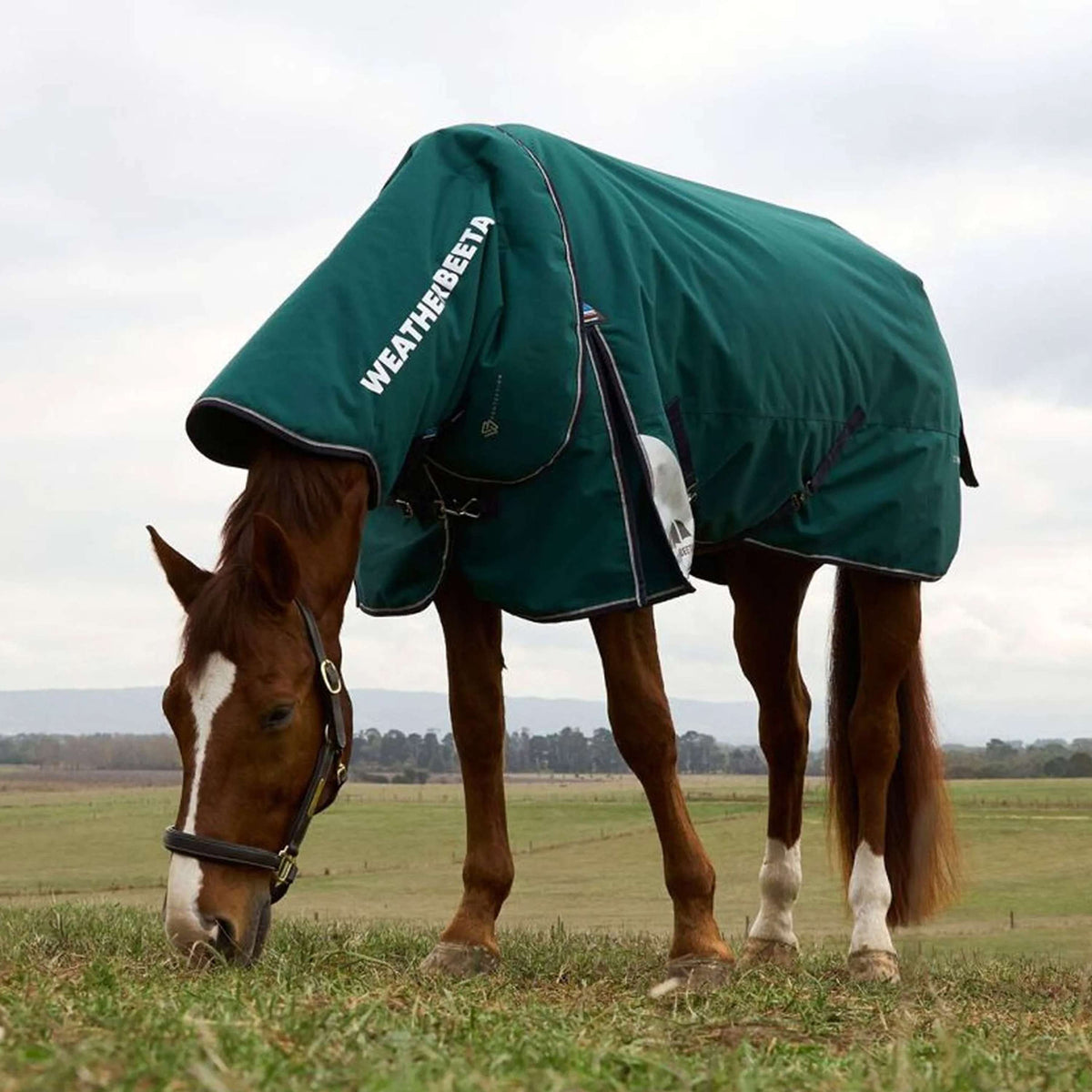 WeatherBeeta ComFiTec Plus Dynamic Turnout Detach-A-Neck 100g Forest Green/Navy