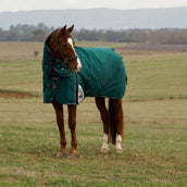 WeatherBeeta ComFiTec Plus Dynamic Turnout Detach-A-Neck 100g Forest Green/Navy