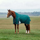 WeatherBeeta ComFiTec Plus Dynamic Turnout High Neck 220g Forest Green/Navy