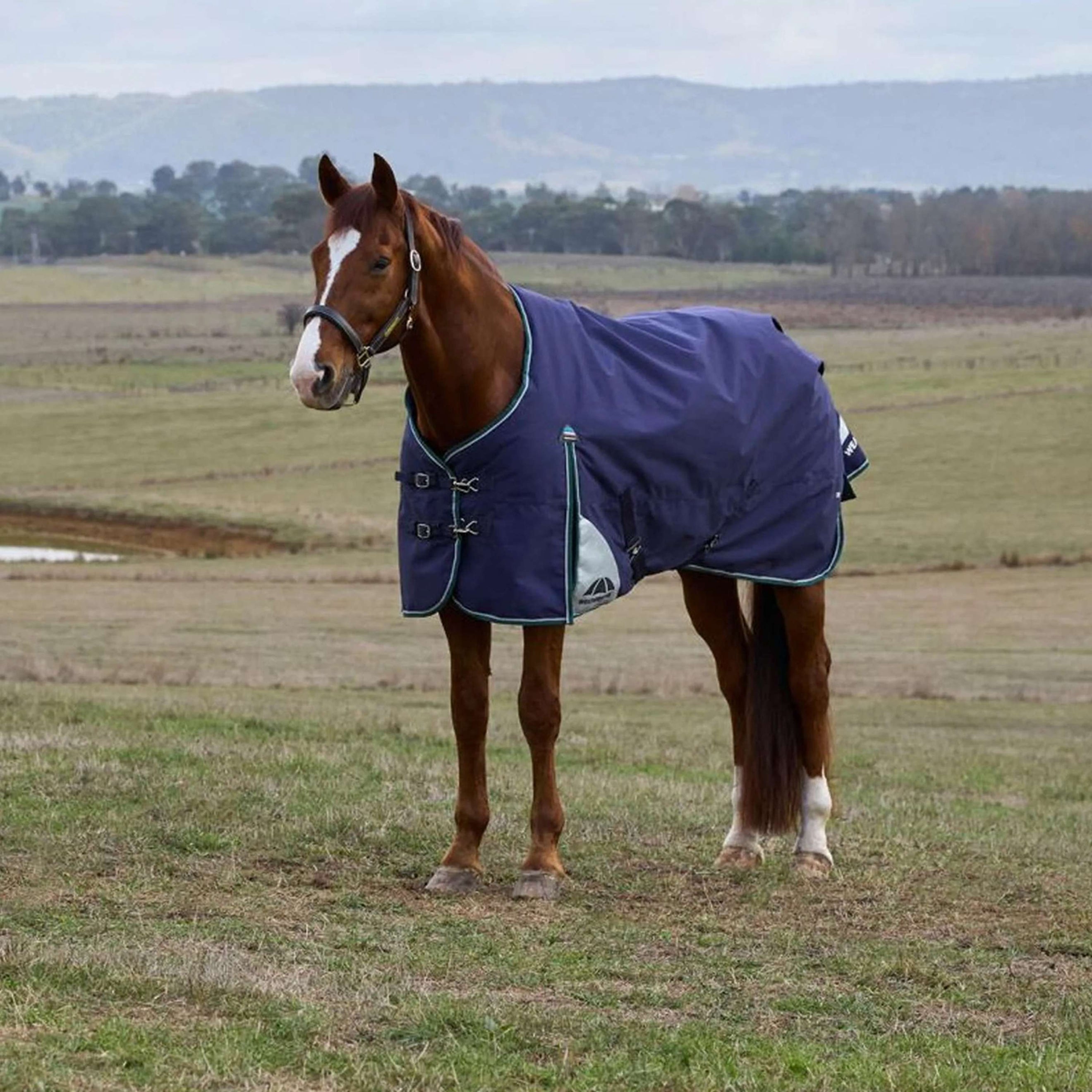 WeatherBeeta ComFiTec Plus Dynamic Turnout 220g Navy/Forest Green