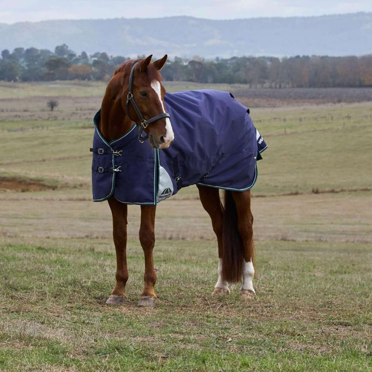 WeatherBeeta ComFiTec Plus Dynamic Turnout 0g Navy/Forest Green