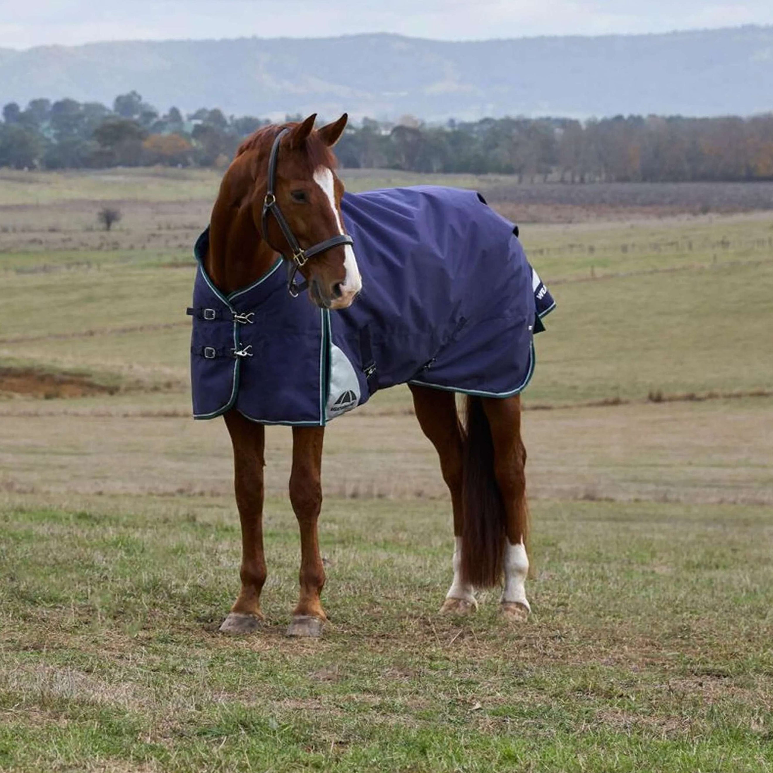 WeatherBeeta ComFiTec Plus Dynamic Turnout 220g Navy/Forest Green