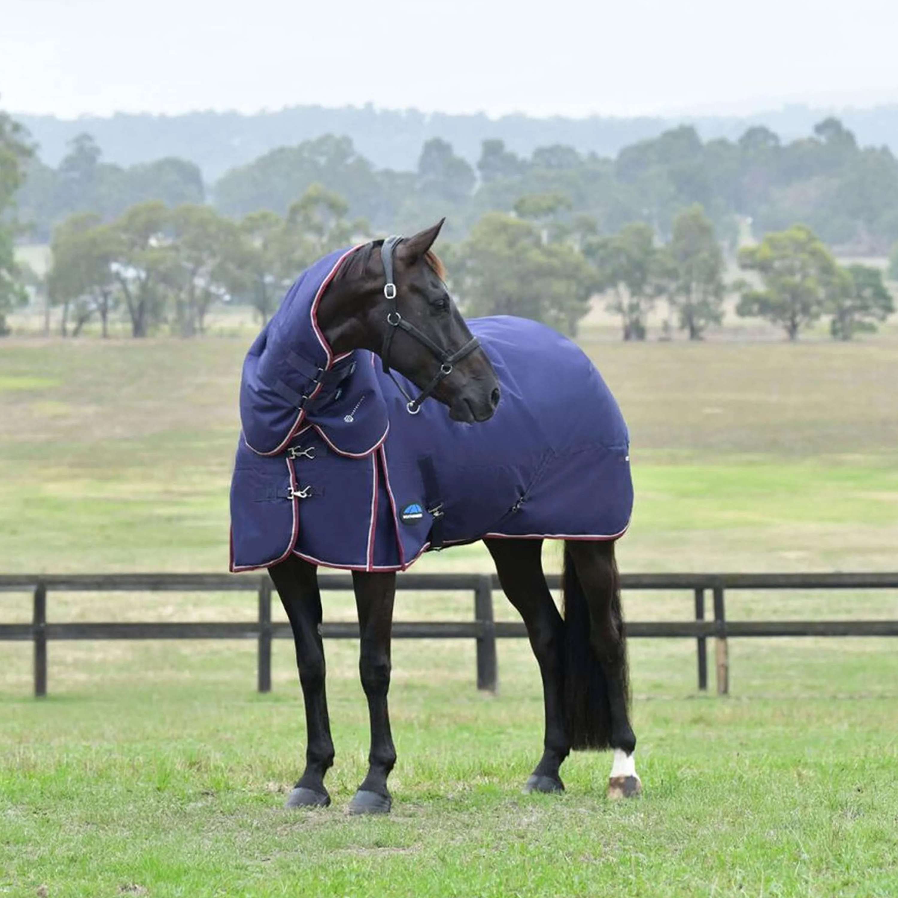 WeatherBeeta ComFiTec Essential Turnout Detach-A-Neck 50g Navy/Burgundy