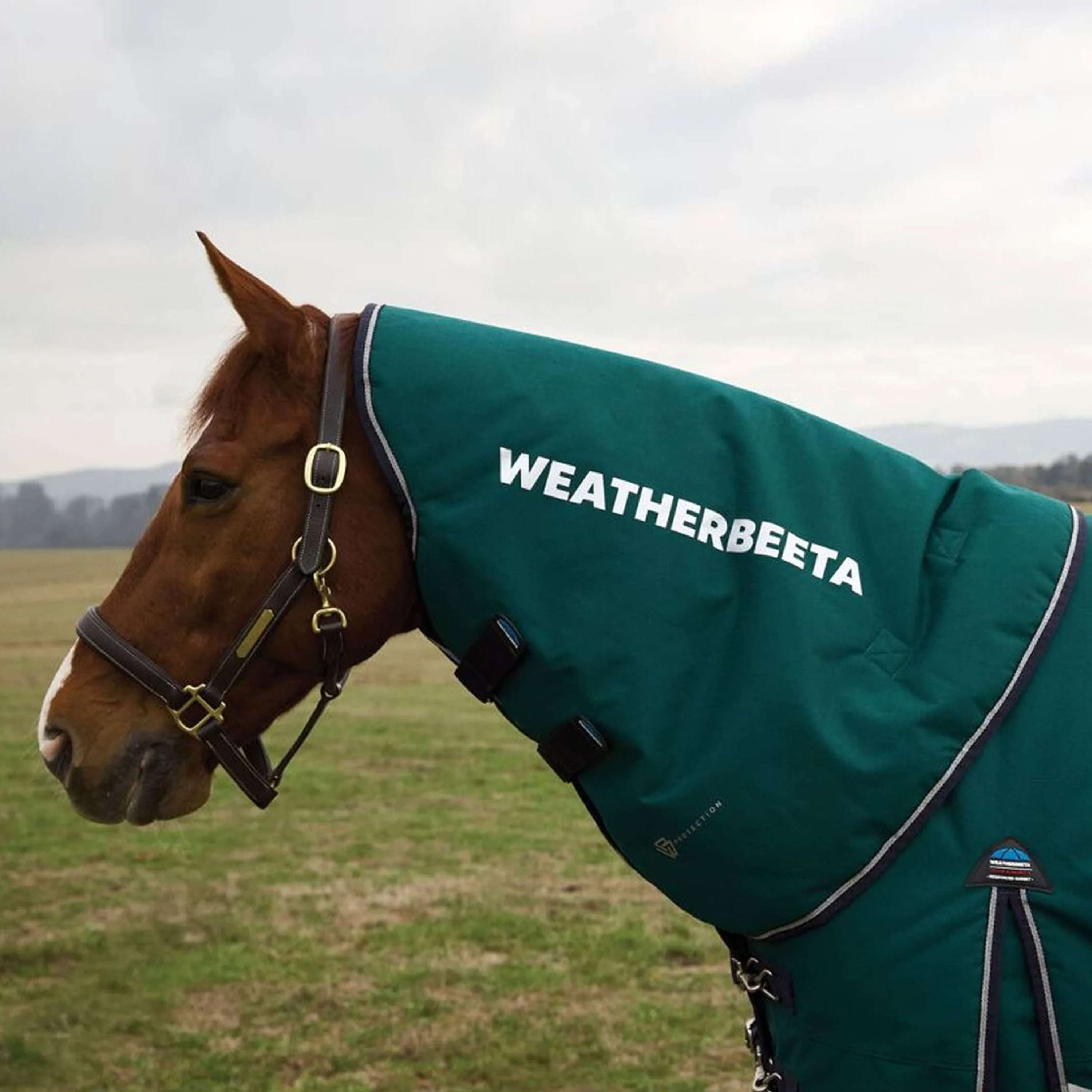 WeatherBeeta Neck Cover ComFiTec Plus Dynamic Turnout 0g Forest Green/Navy