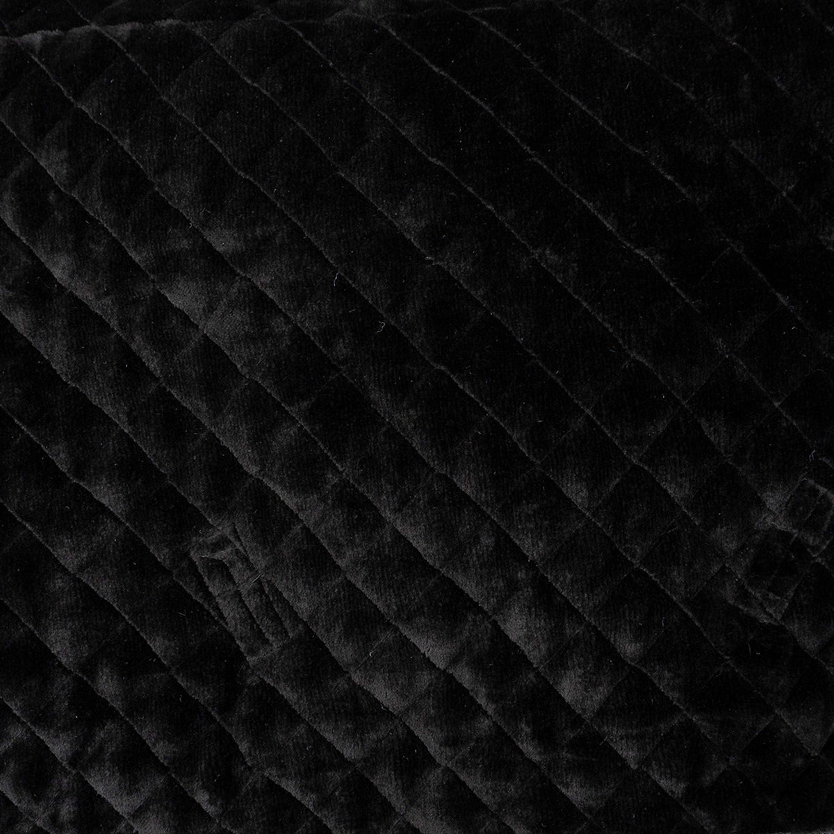 ANKY Show Rug Victory ATB24006 Black