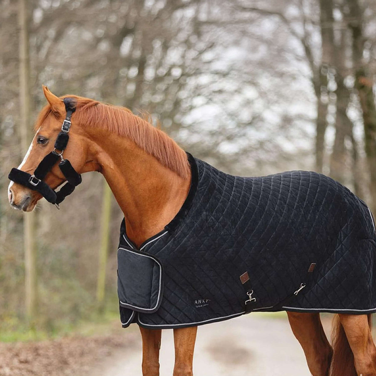 ANKY Show Rug Victory ATB24006 Black