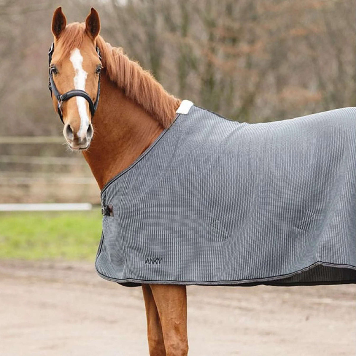 ANKY Summer Rug ATB25004 Grey Melee