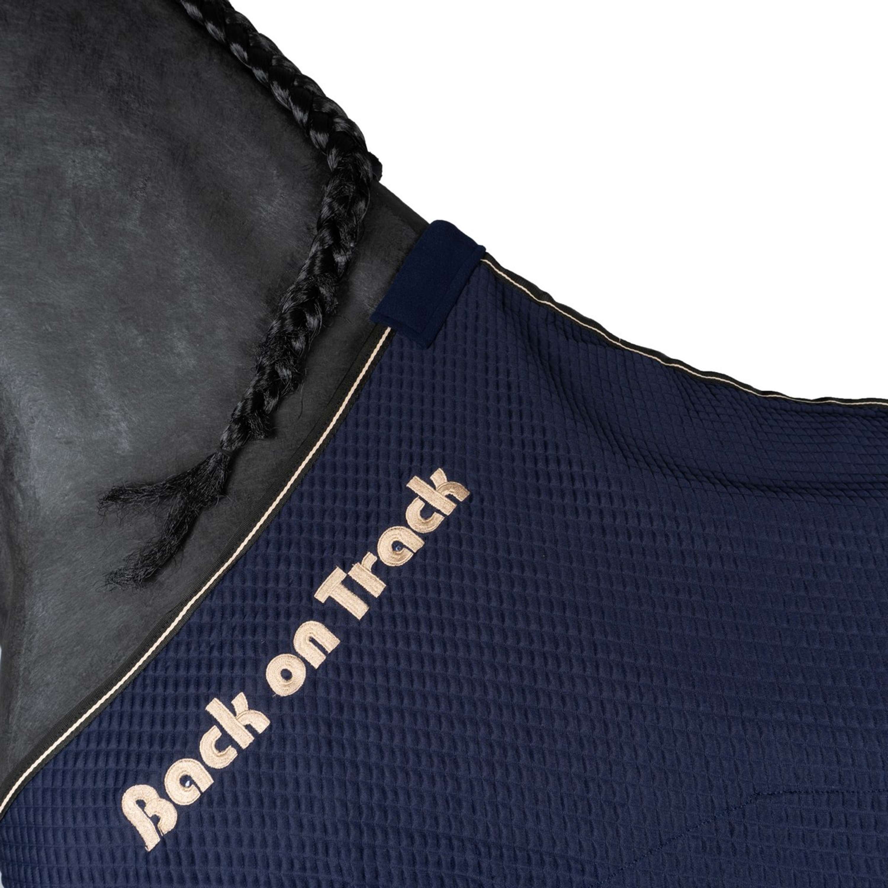 Back On Track Cooler Quick Blue