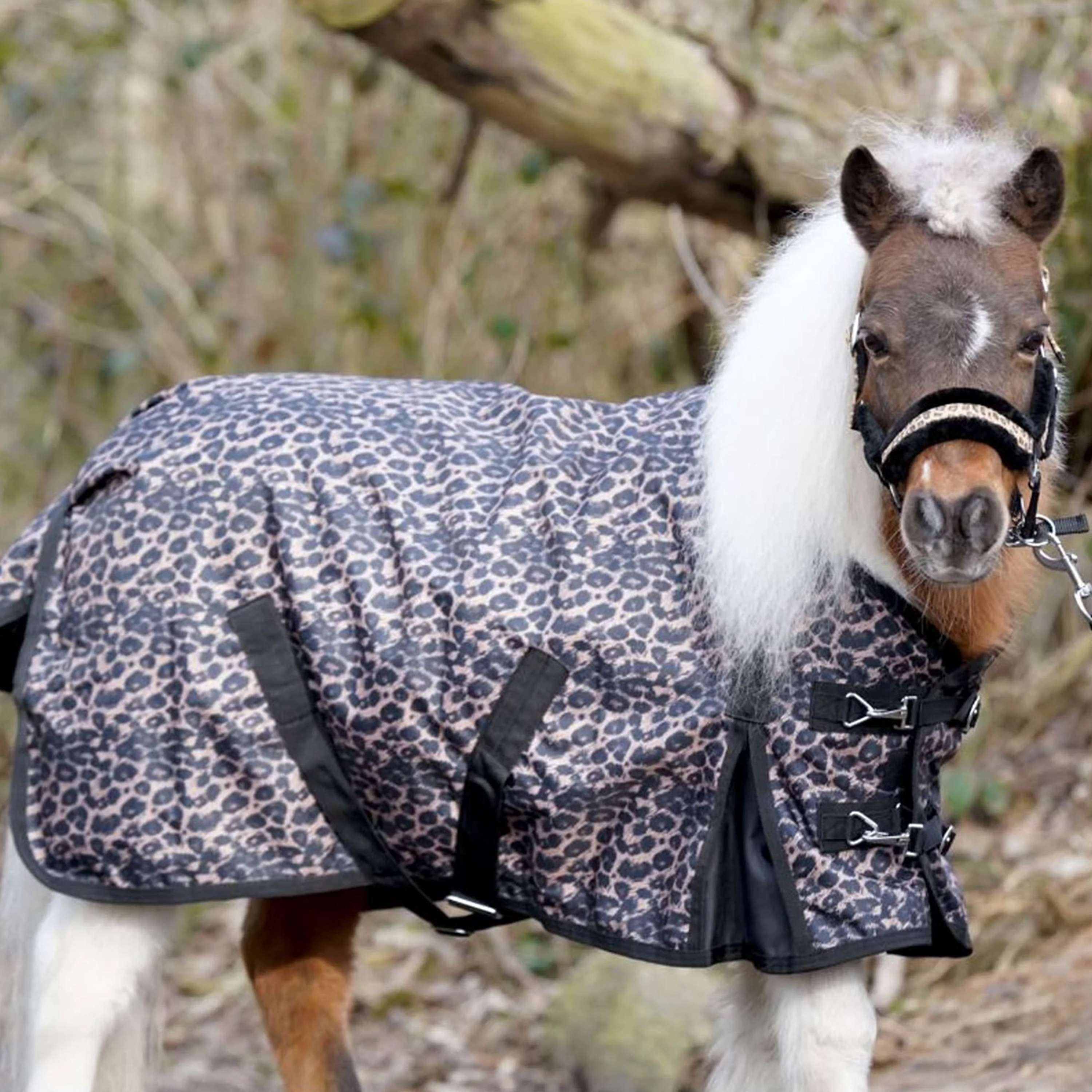 HB Outdoor Rug Leopard Pony 0g Leopard