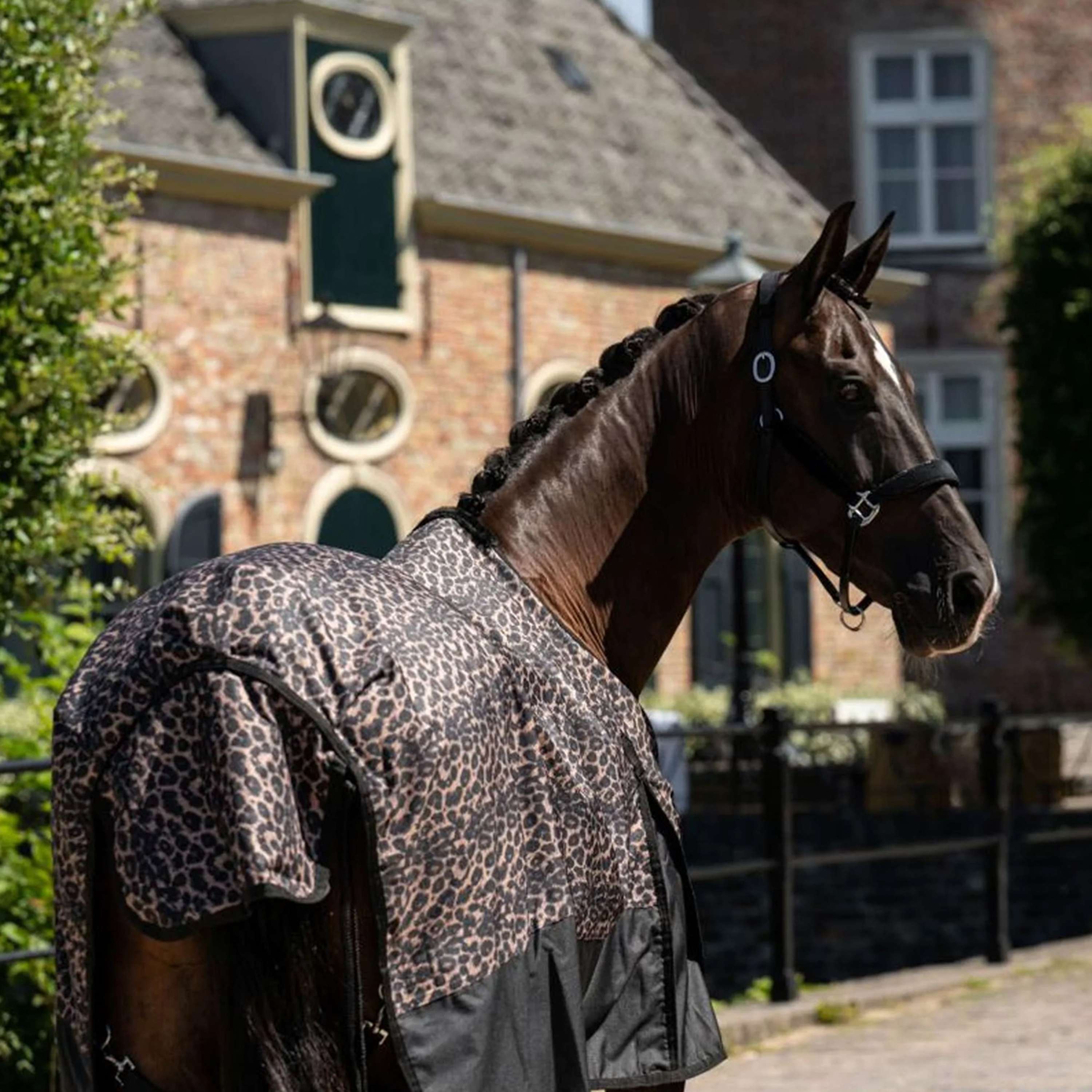 HB Outdoor Rug Leopard 0g Leopard