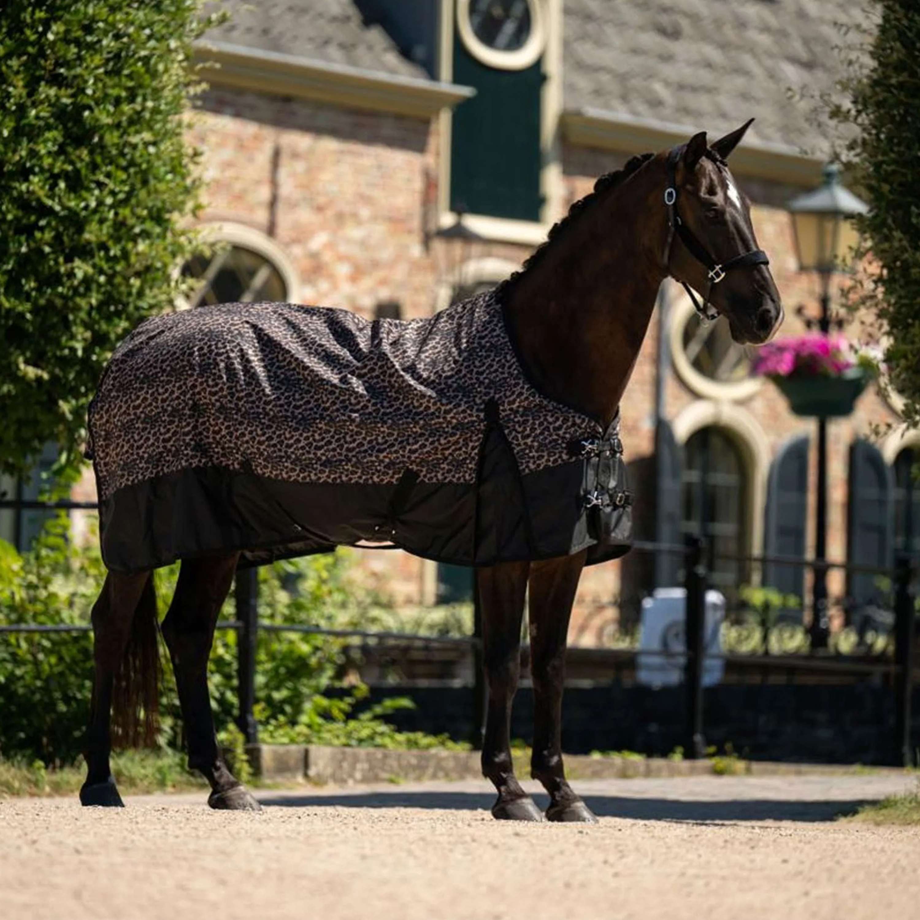 HB Outdoor Rug Leopard 0g Leopard