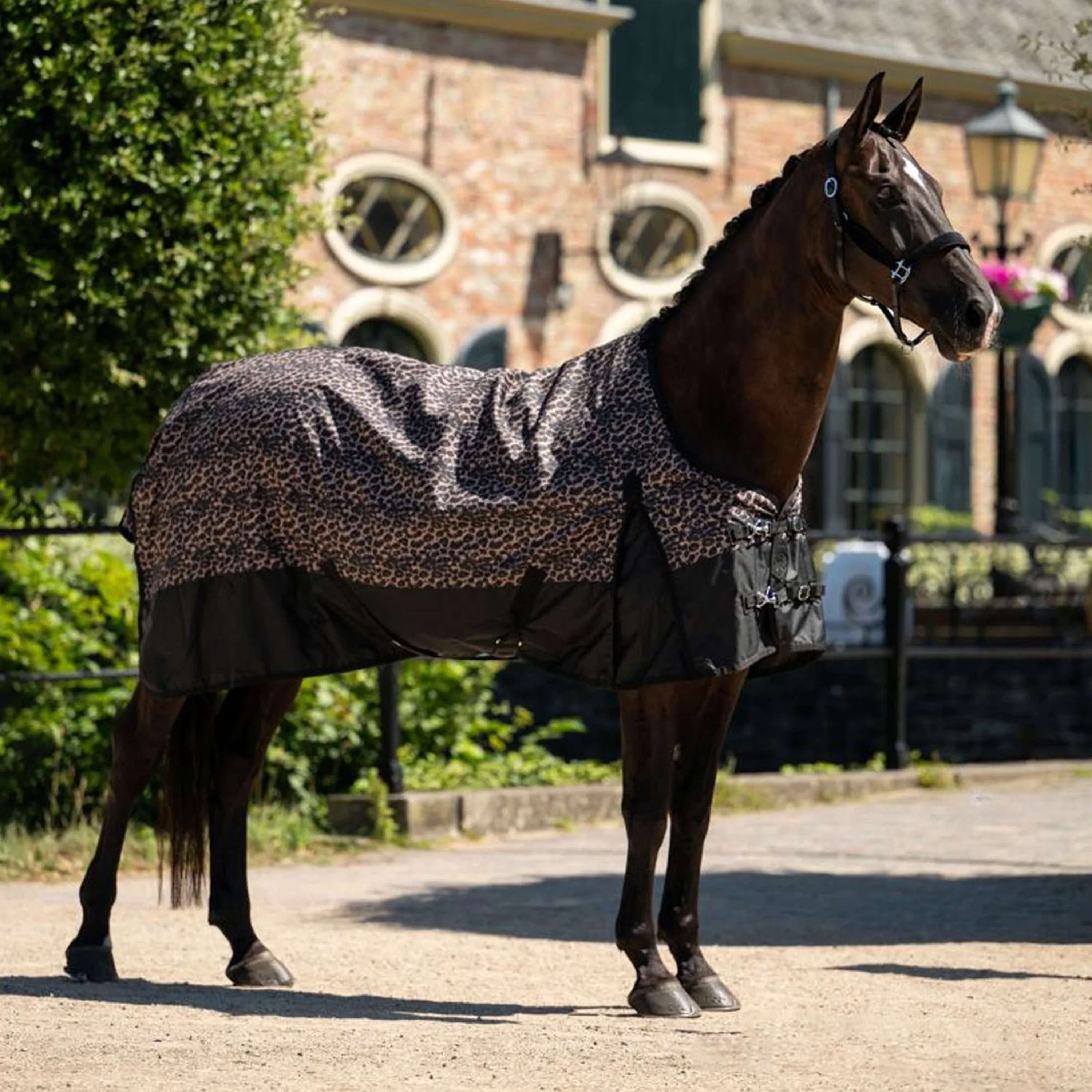 HB Outdoor Rug Leopard 0g Leopard