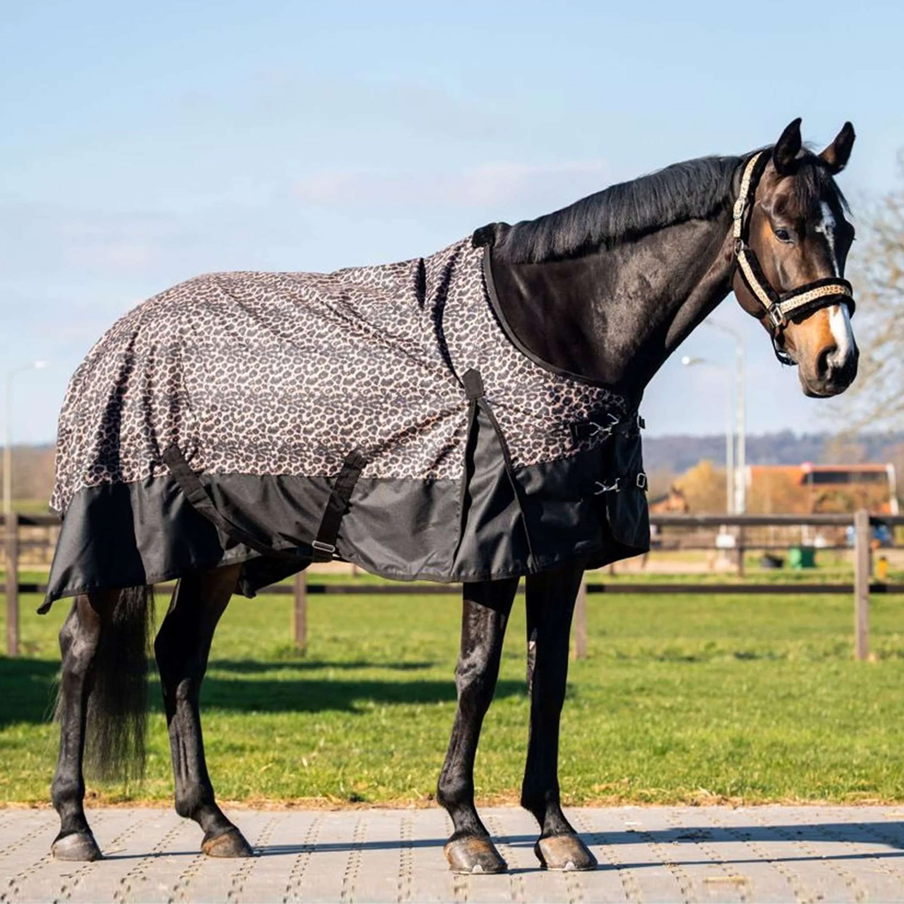 HB Outdoor Rug Leopard 0g Leopard