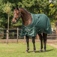 Agradi Horse Outdoor Rug 1200D 300gr Reflective Trim Green