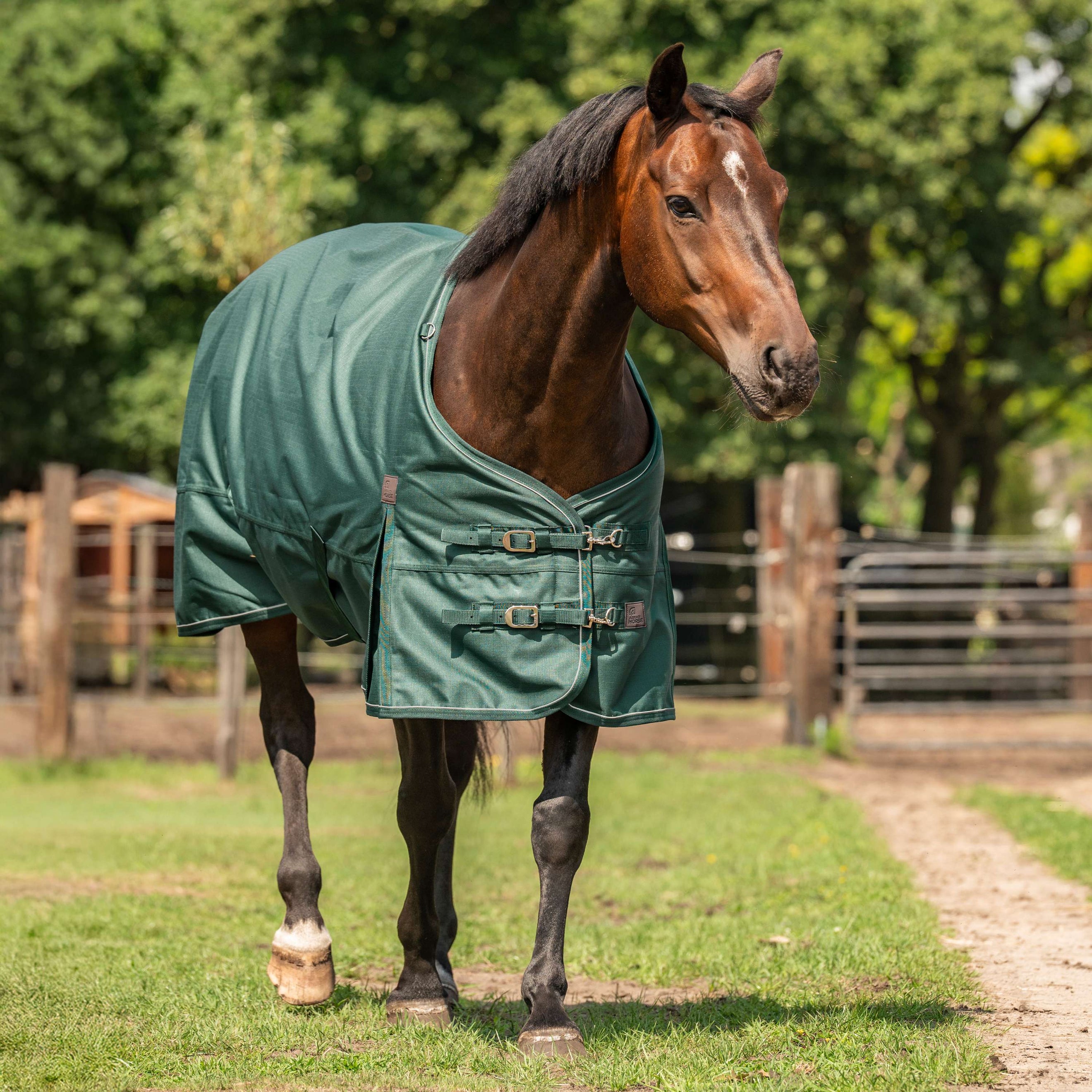 Agradi Horse Outdoor Rug 1200D 0gr Reflective Trim Green